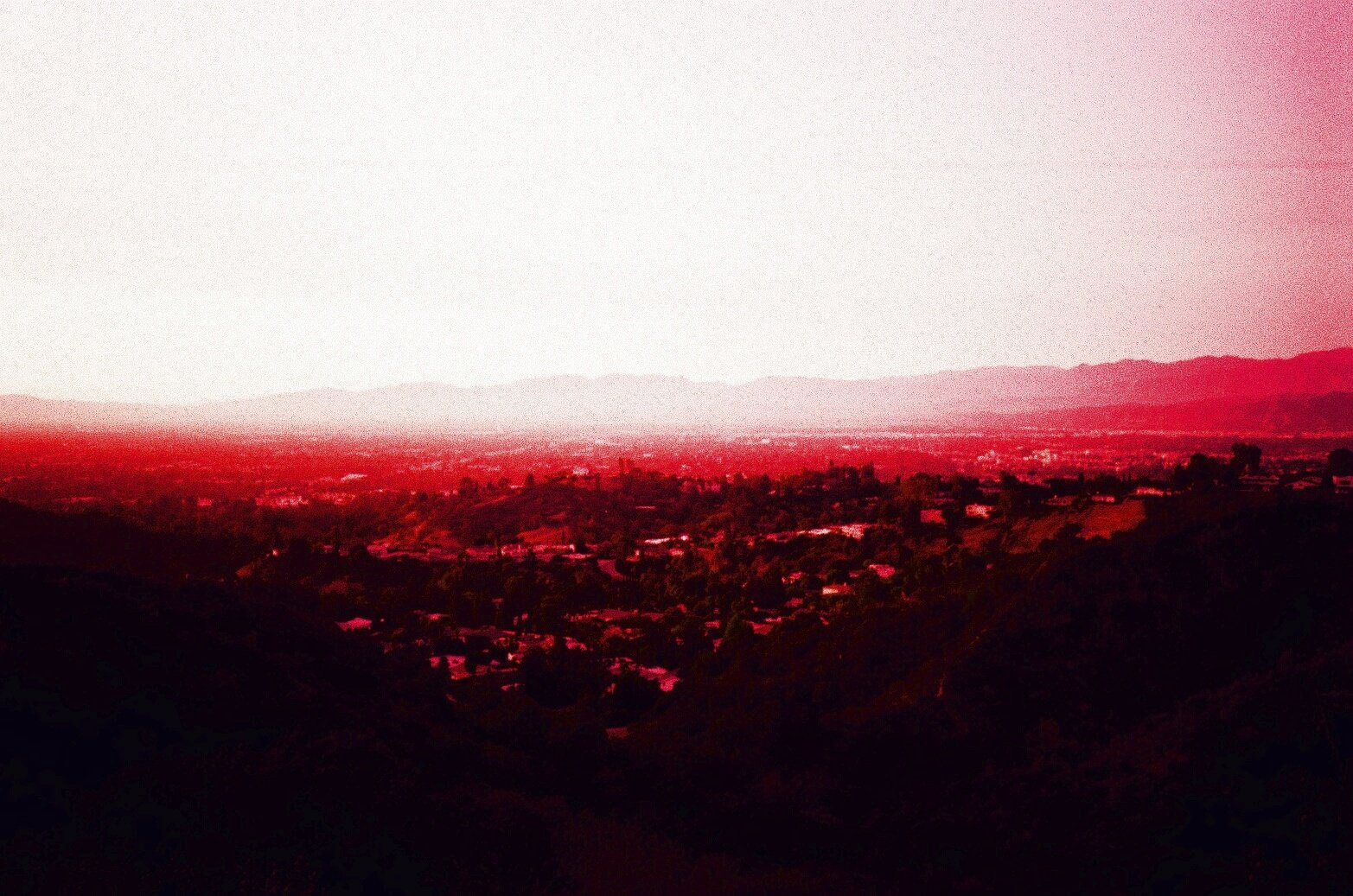 31780014.jpg