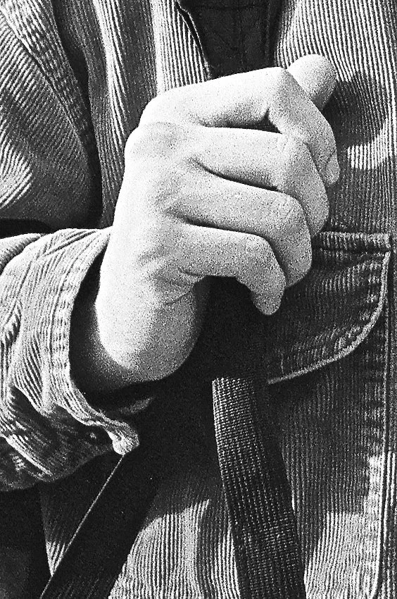 28880031 - Version 2.jpg