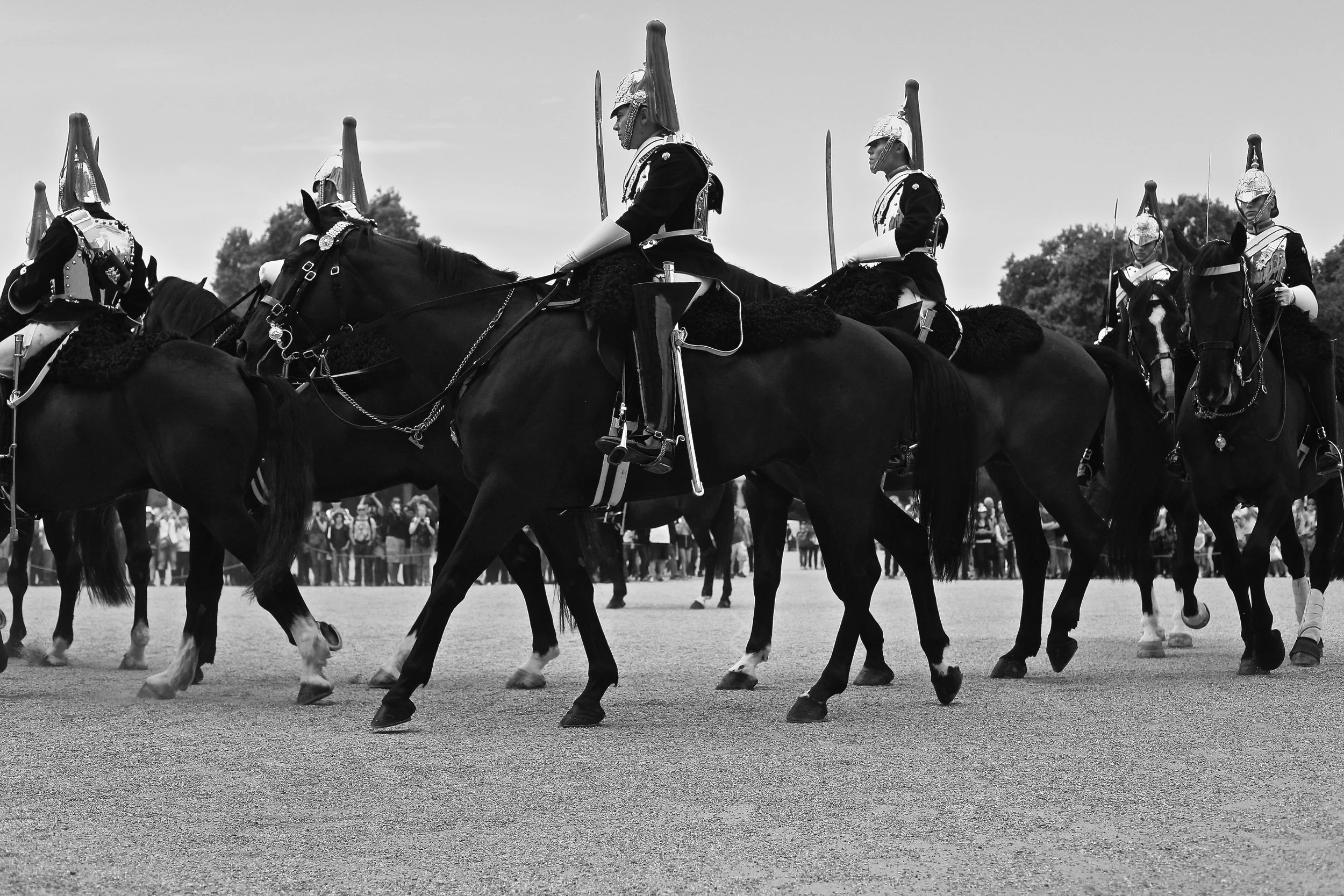 _MG_5086.jpg