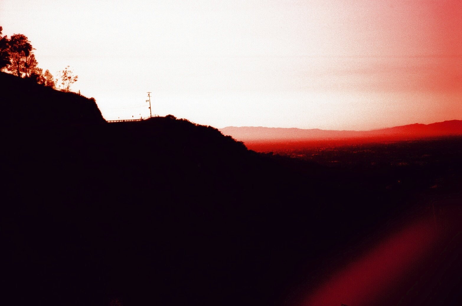 31780013.jpg