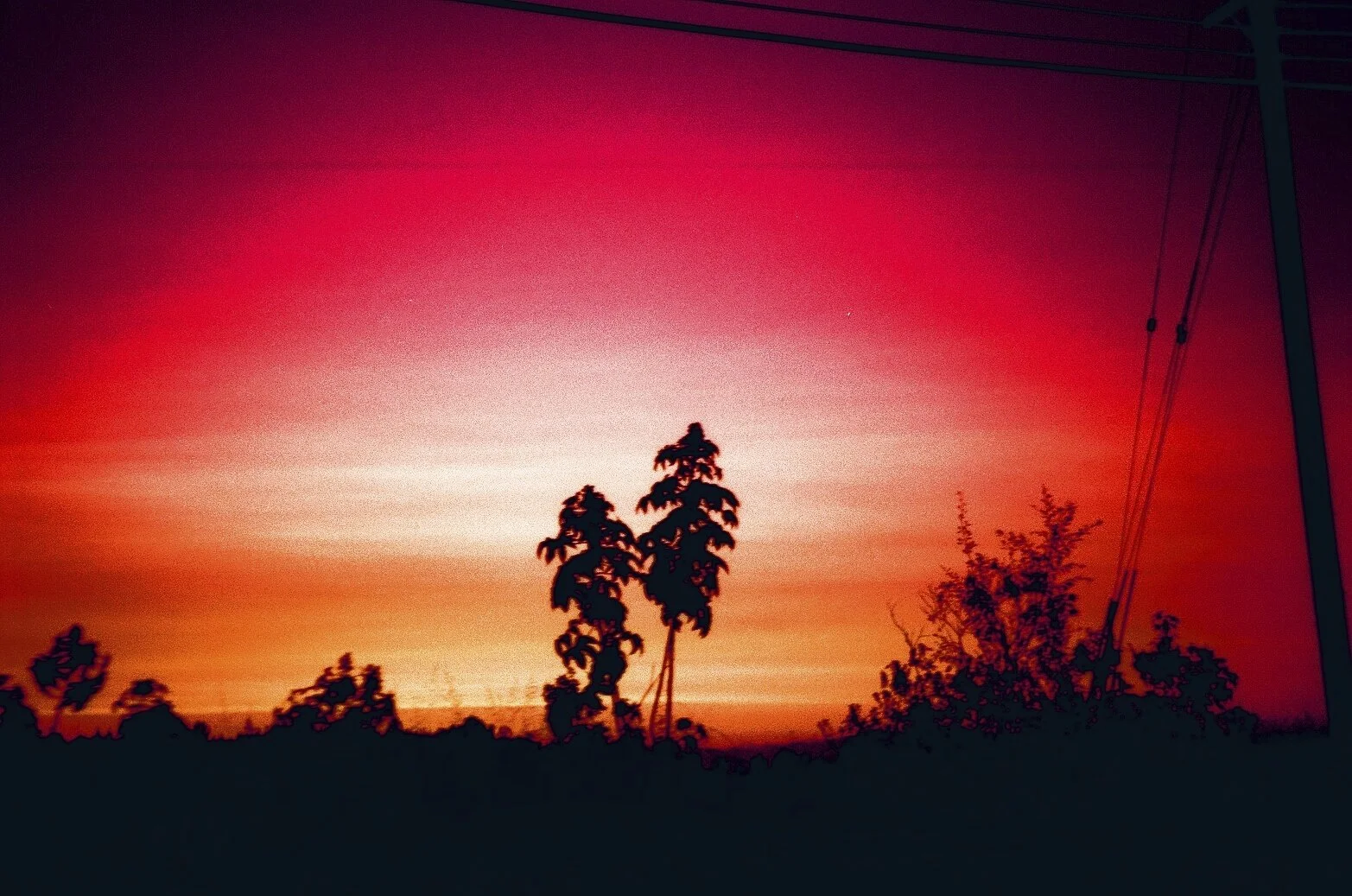 31780019.jpg