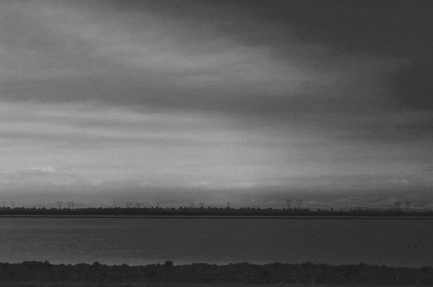 008_8 14.JPG