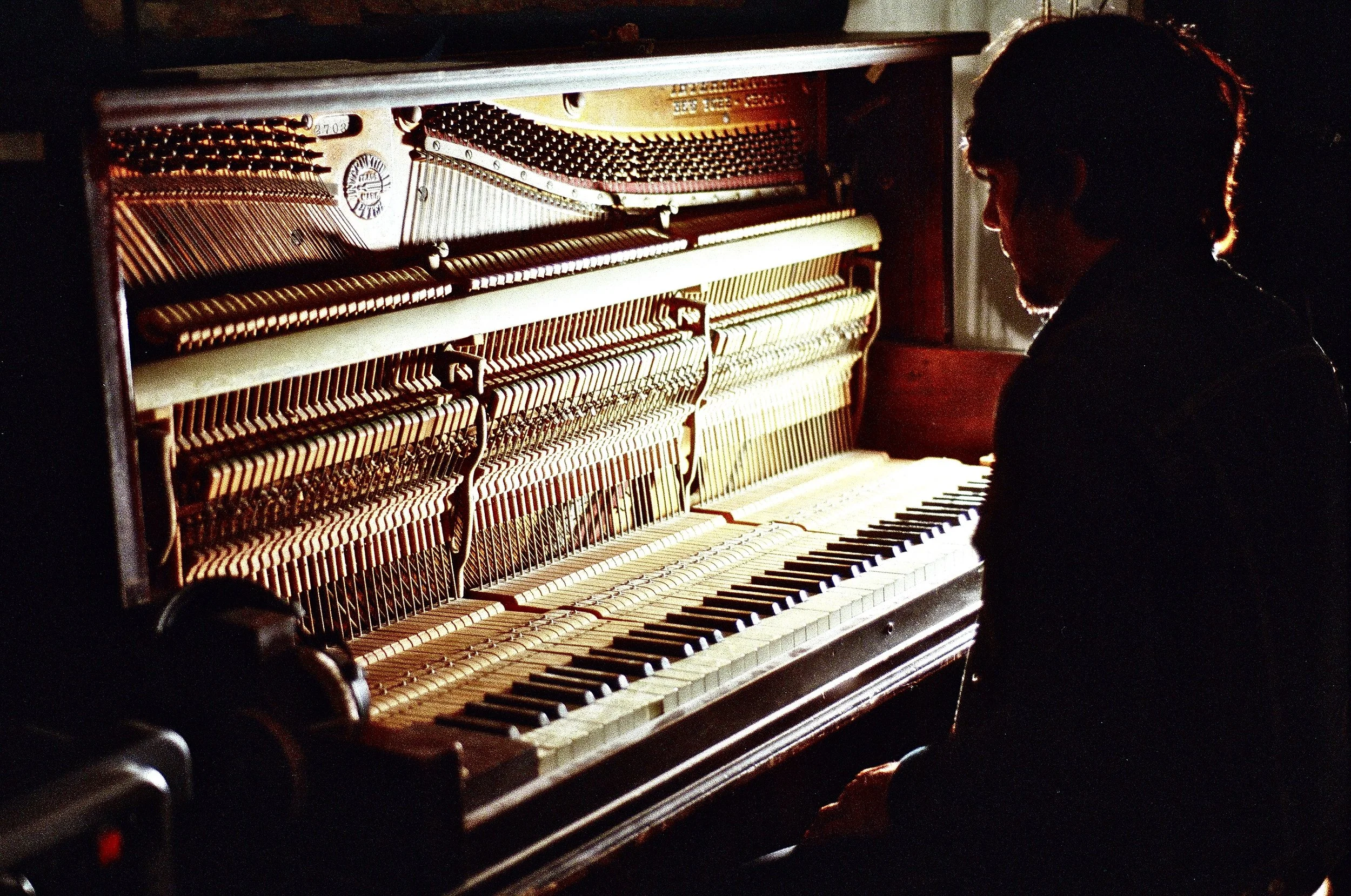 47570019.JPG