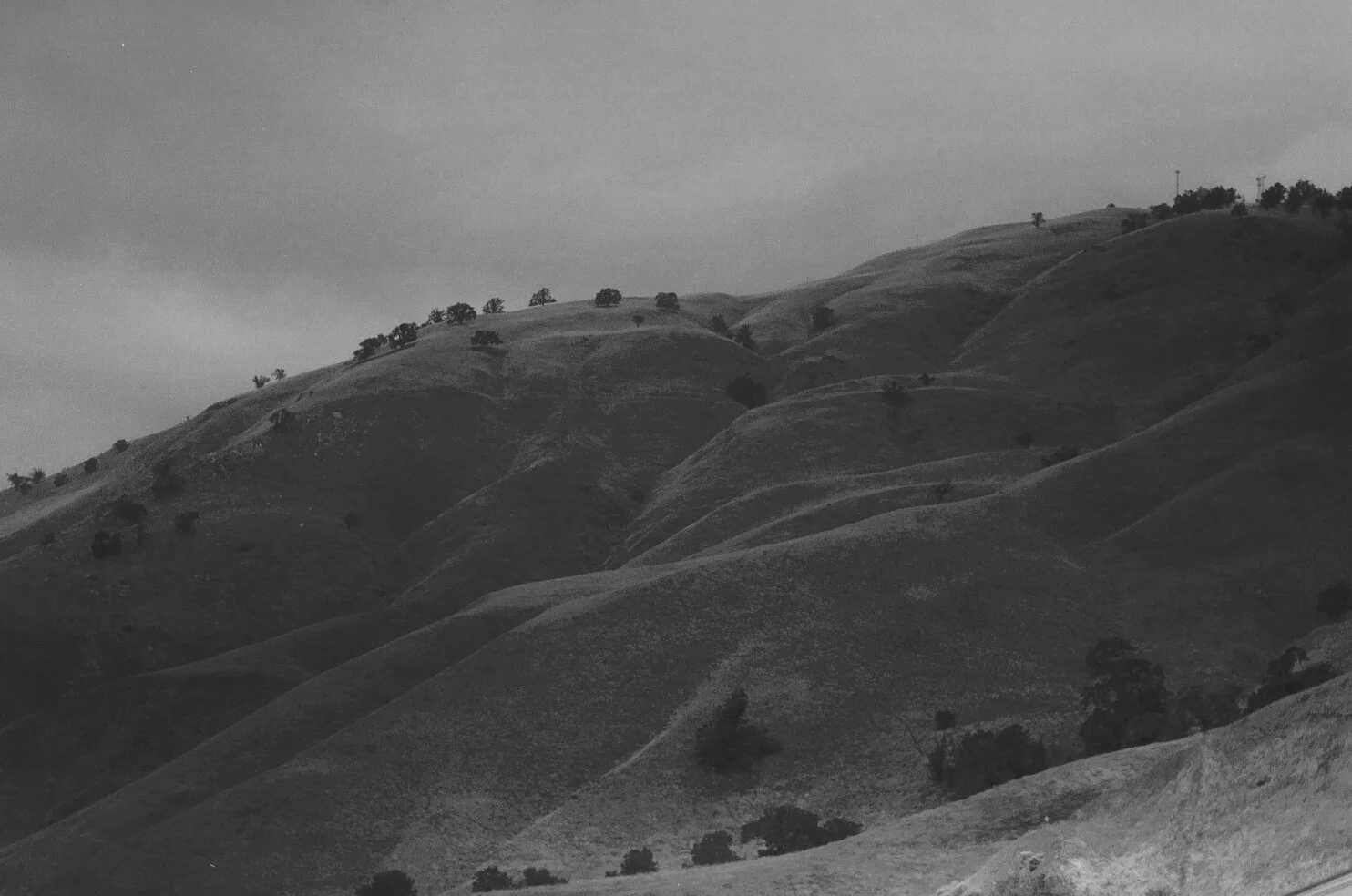 004_4 12.JPG