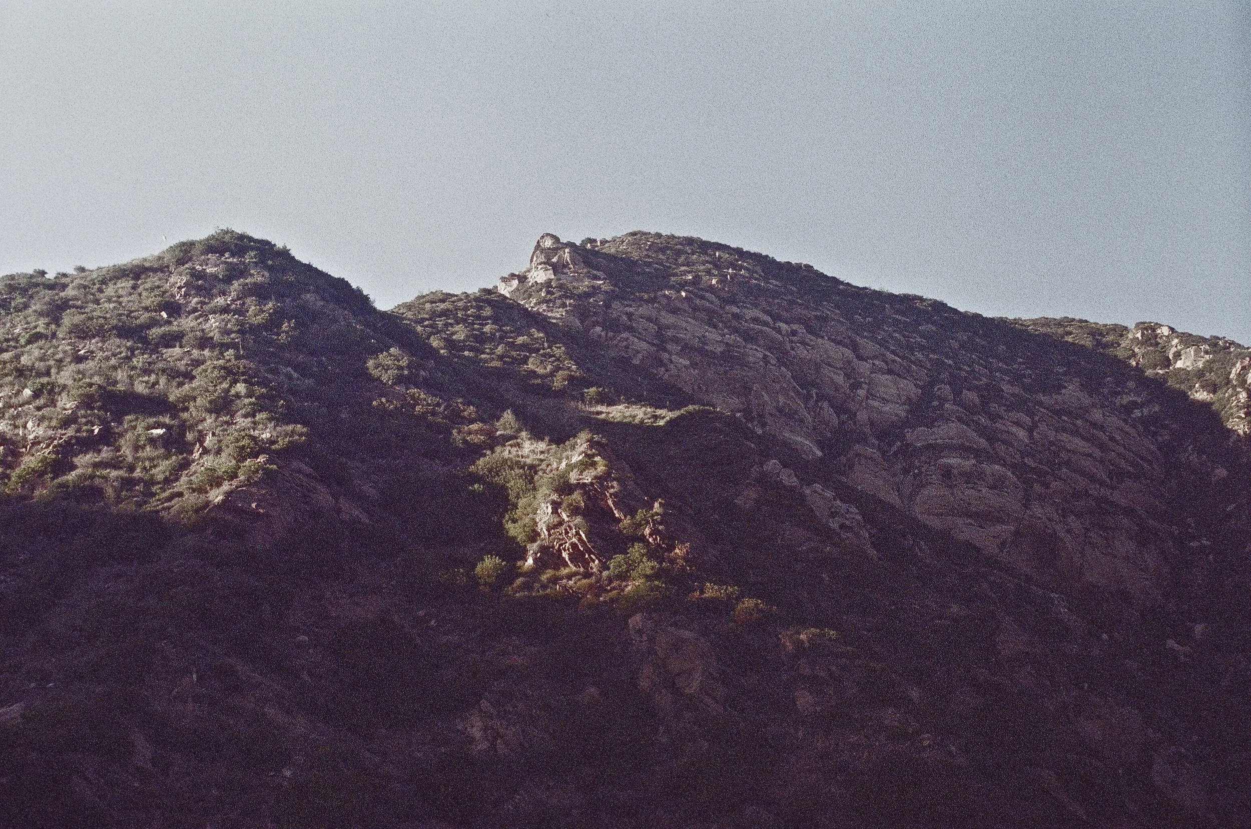 39140022.JPG