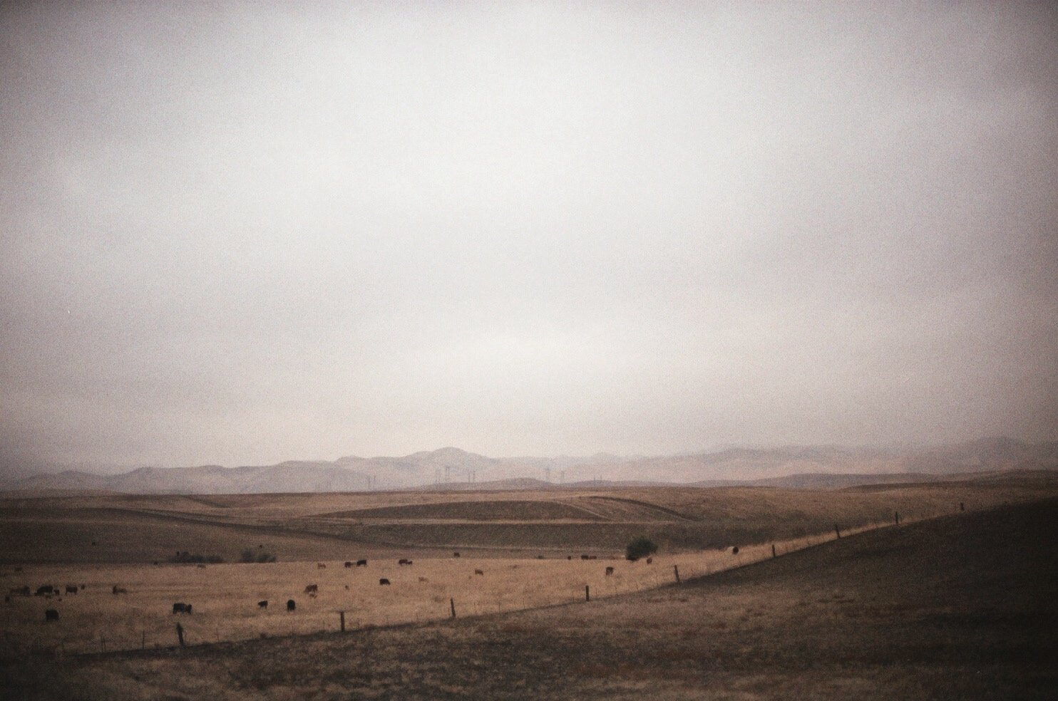 007_7_2 2.JPG