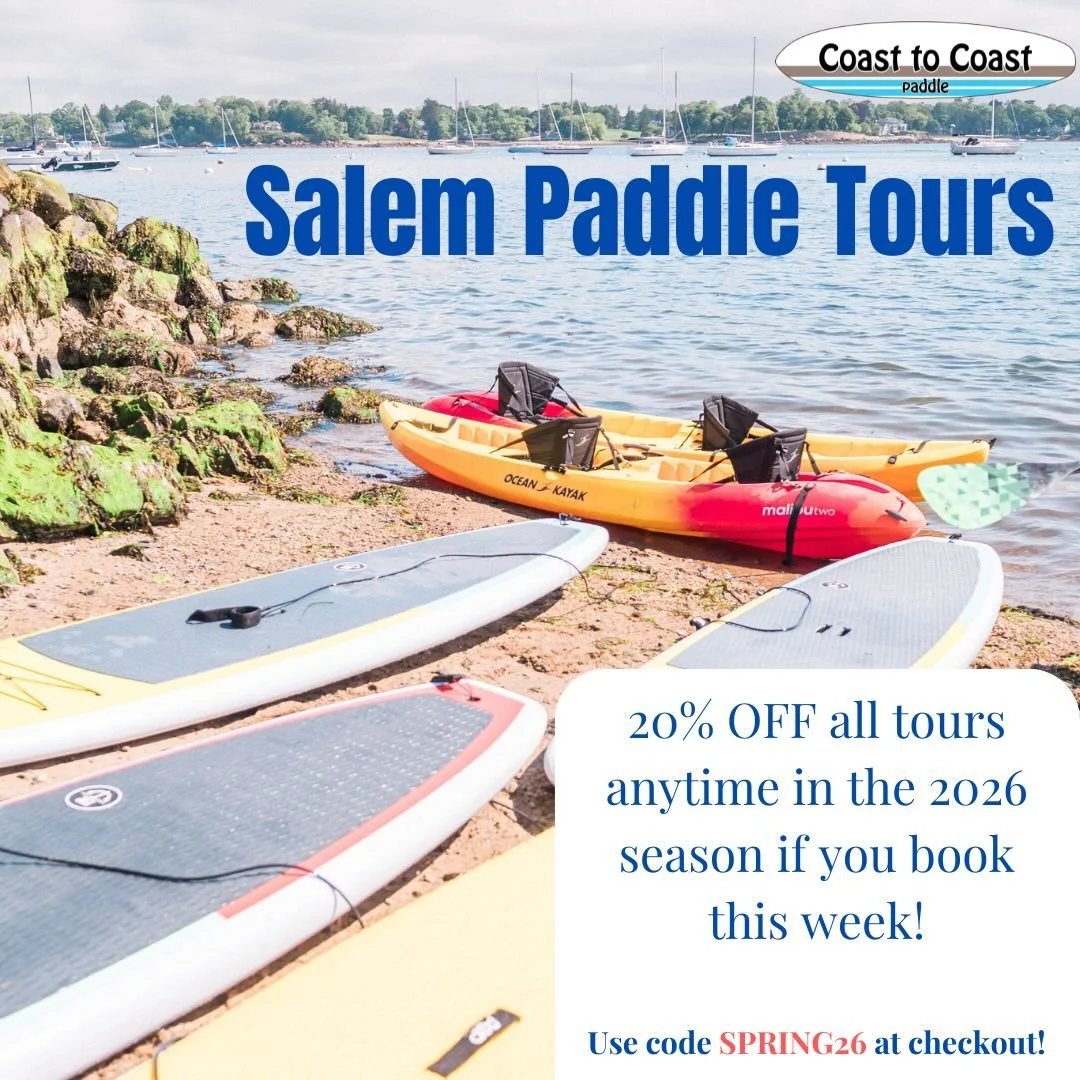 Sun, sea, and a whole new way to explore Salem 🌊

Make your trip to Salem unforgettable with a guided kayak or paddleboard tour along the Salem Coastline &mdash;no experience needed, just good vibes and a sense of adventure!

Spots fill up fast for 