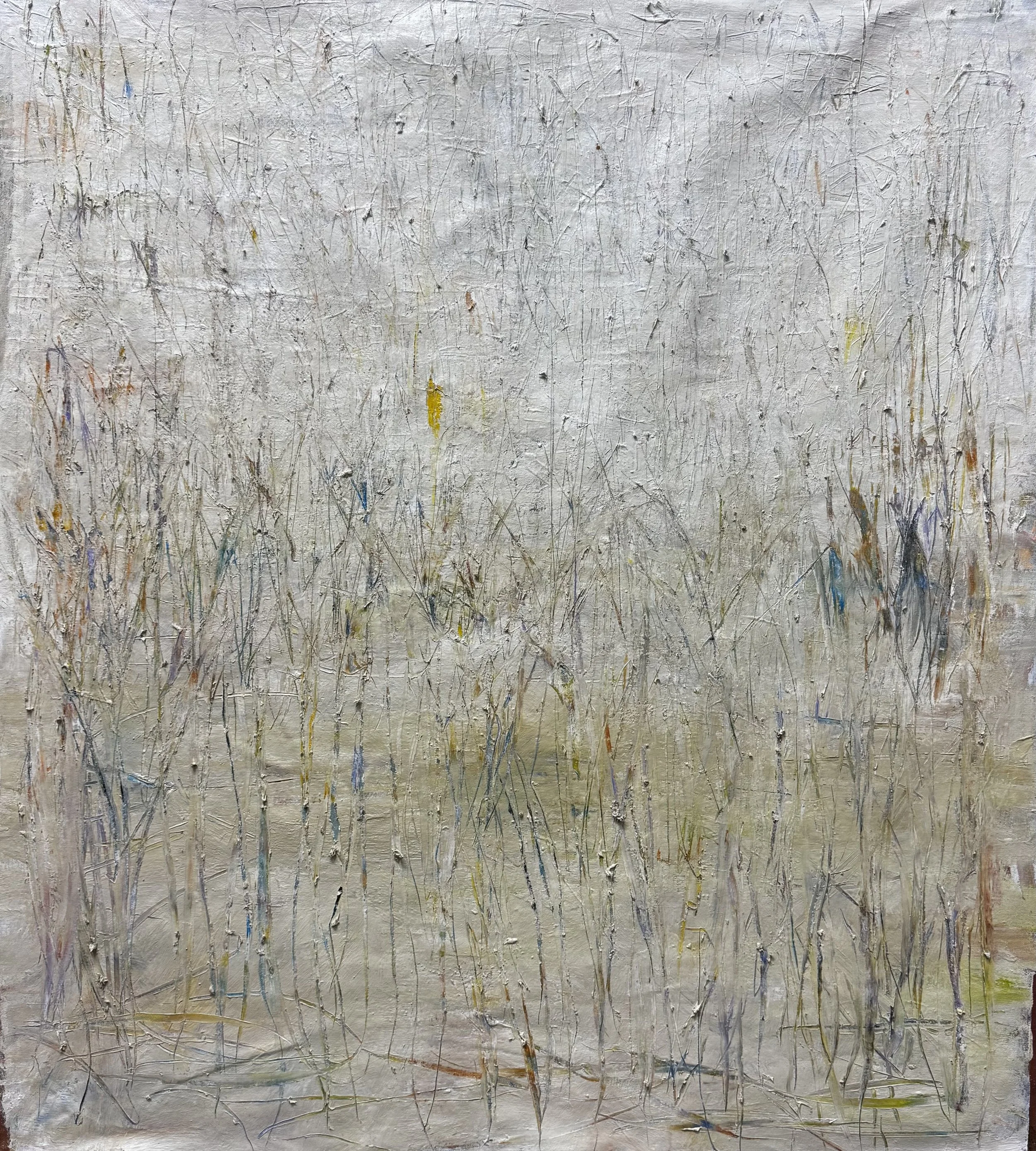 wetlands 1.jpg