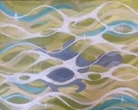 Carmal river turtle.jpg