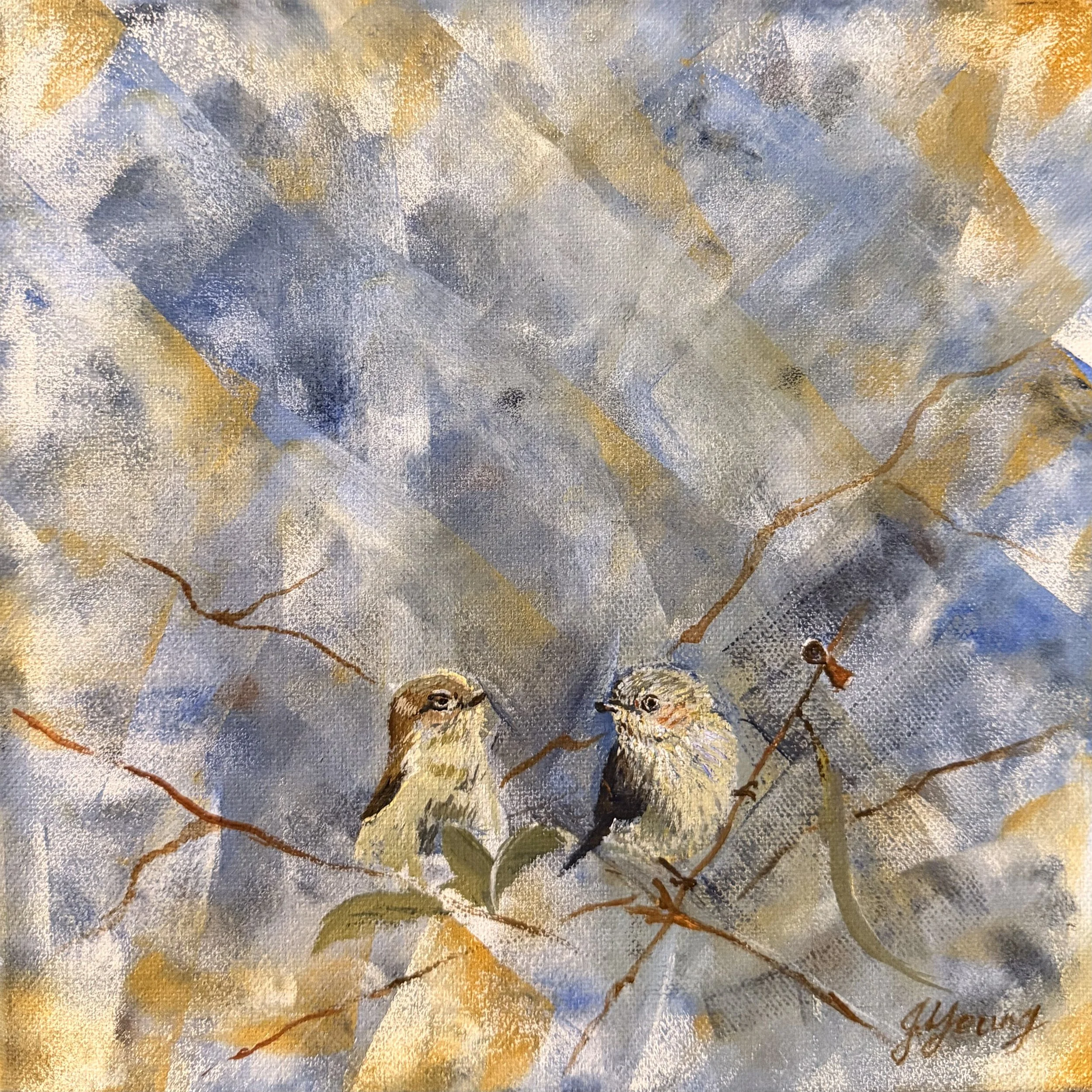 blue wrens 1.jpeg