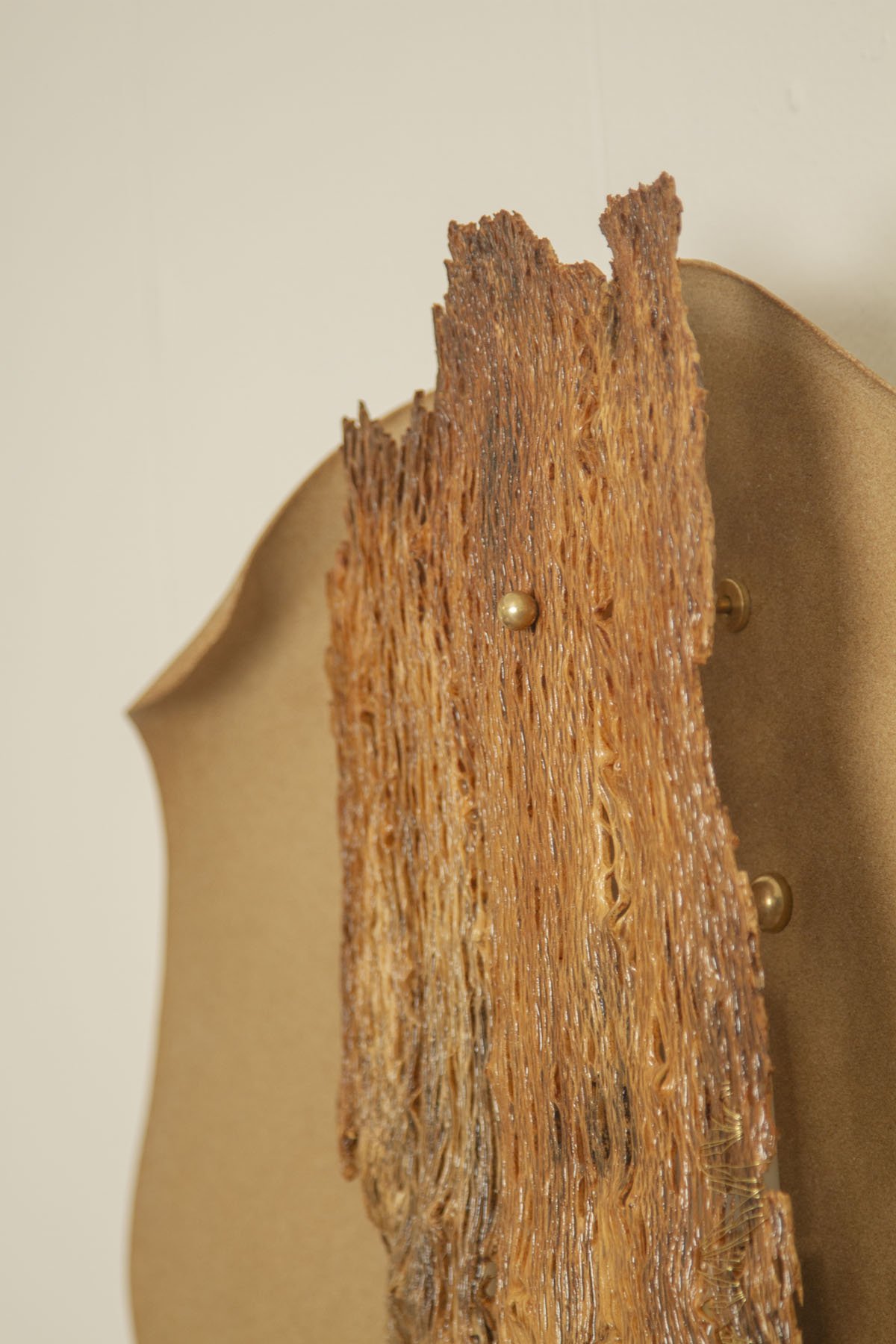 Desert_Opuntia #6_ash design_Margaux LeycurasJ.jpg