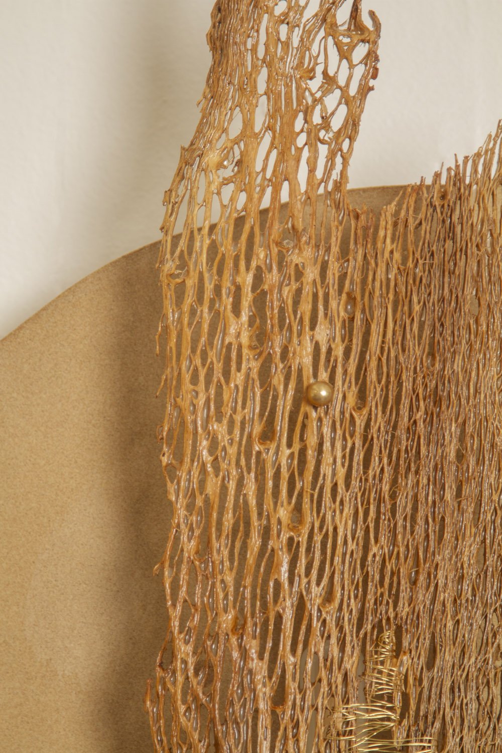 Desert_Opuntia #5_ash design_Margaux LeycurasD.jpg