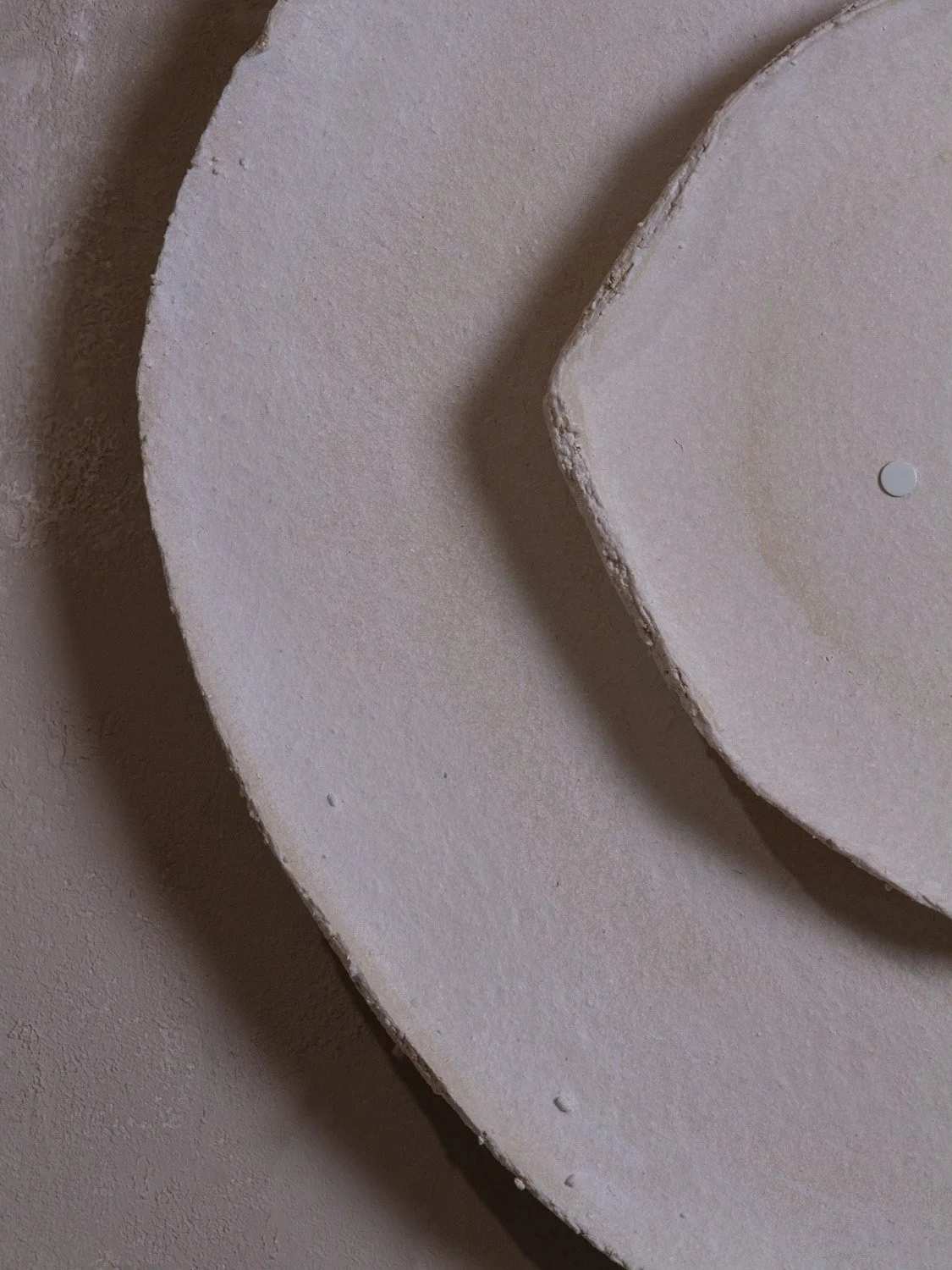 Bone25_ash design_Margaux LeycurasJ.jpg