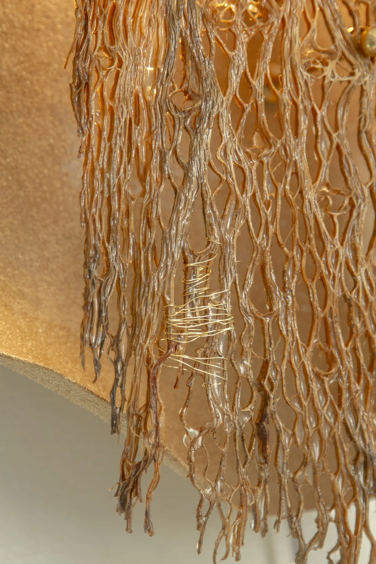 Desert_Cactus #1_Margaux LeycurasW.jpg