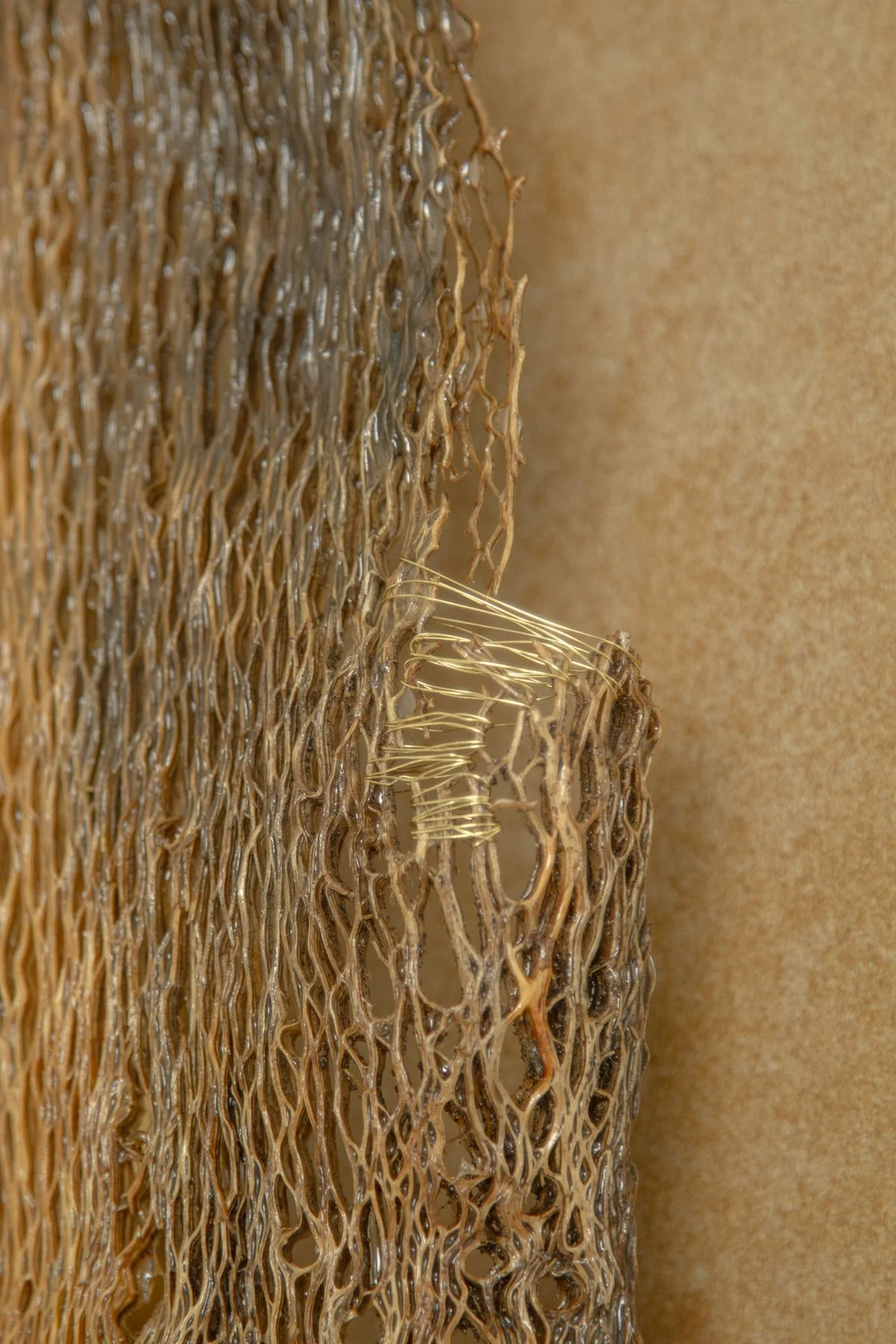 Desert_Cactus #1_Margaux LeycurasK.jpg