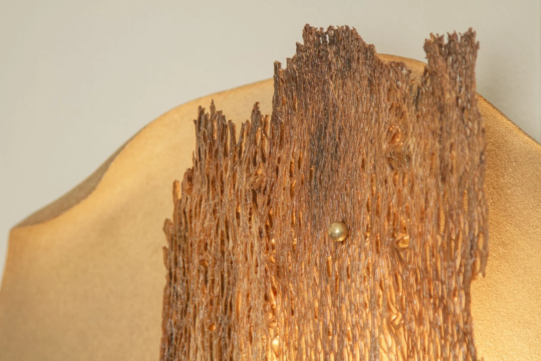 Desert_Opuntia #6_ash design_Margaux LeycurasI.jpg