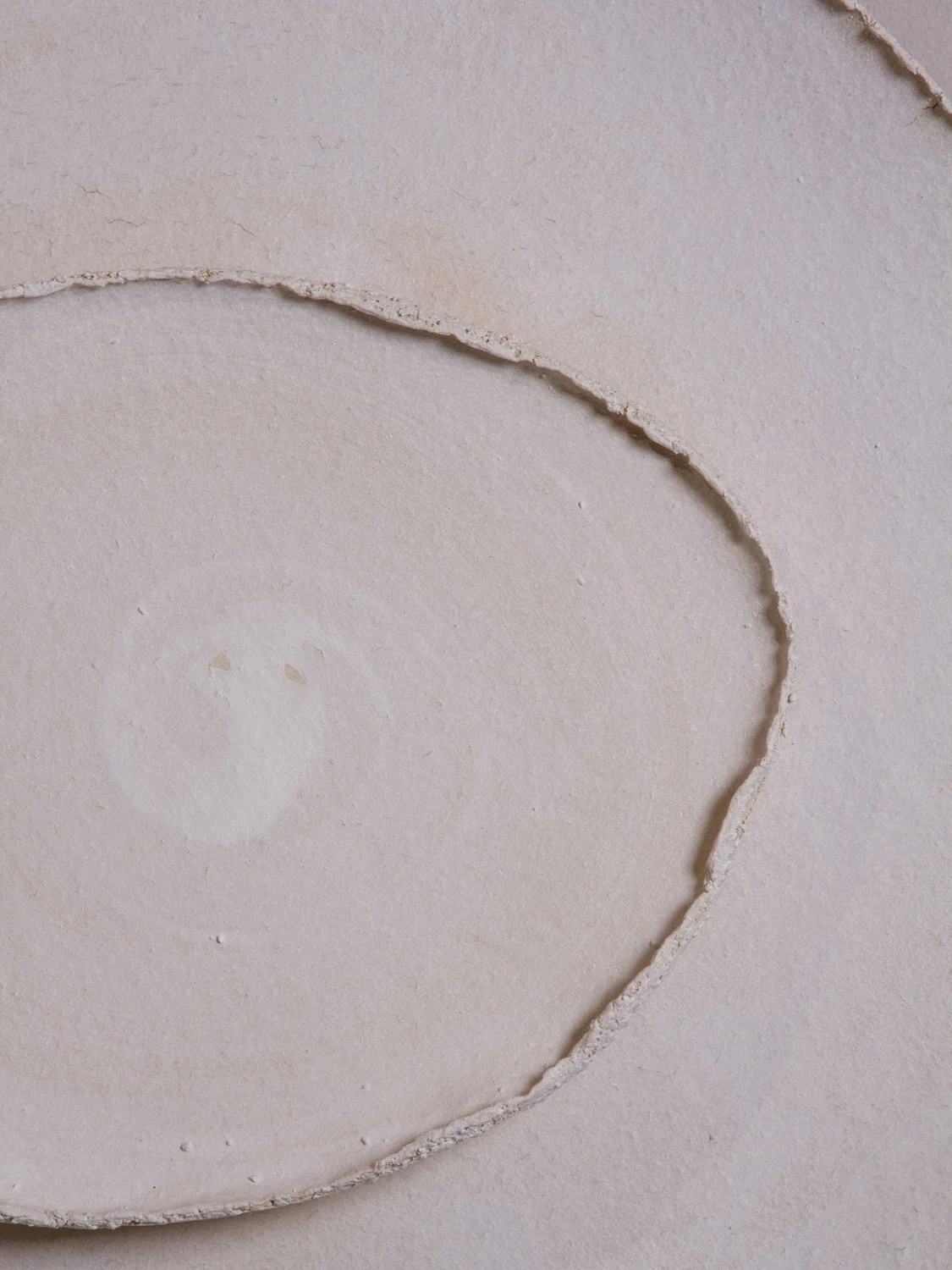 Bone26_ash design_Margaux LeycurasG.jpg