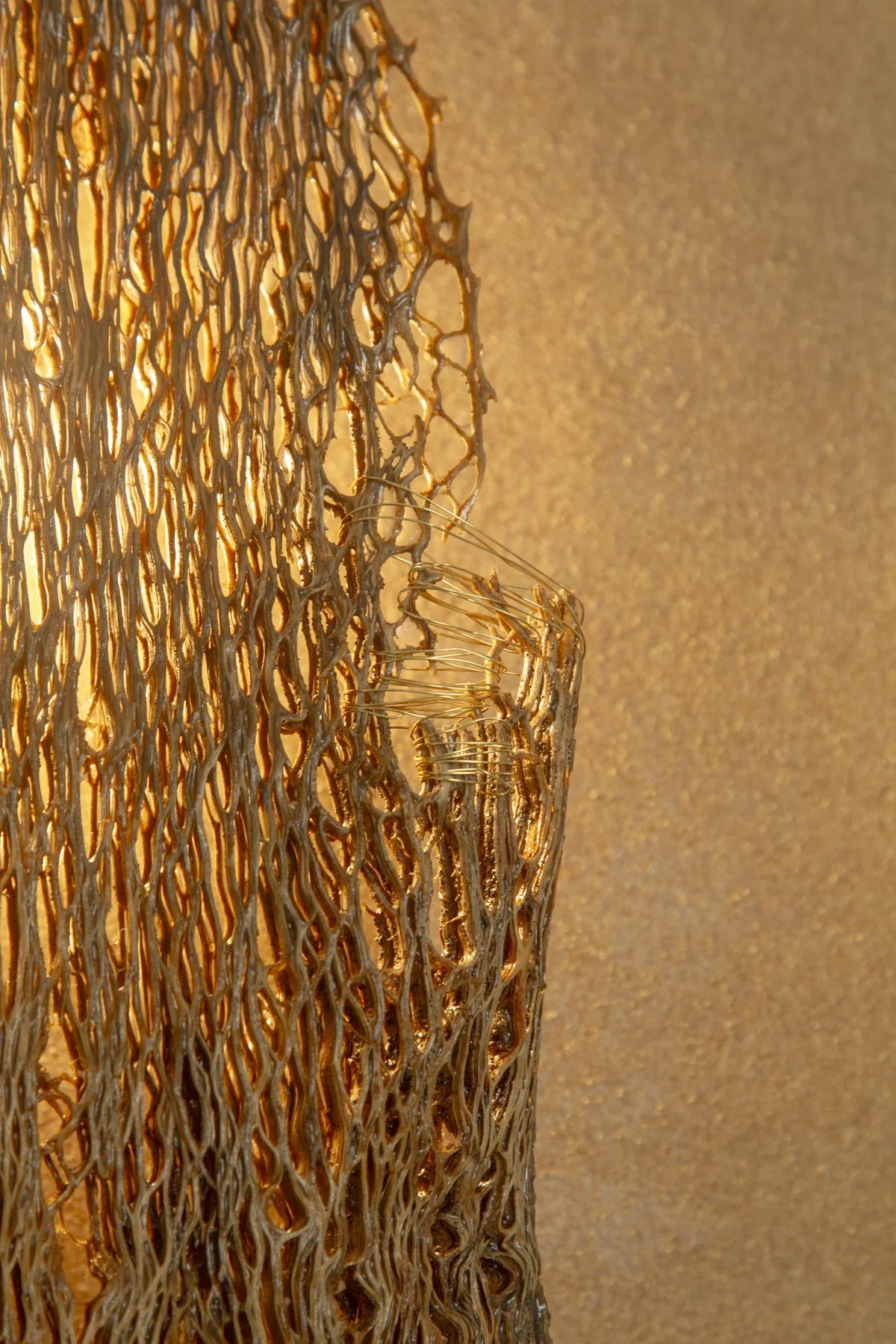 Desert_Cactus #1_Margaux LeycurasF.jpg