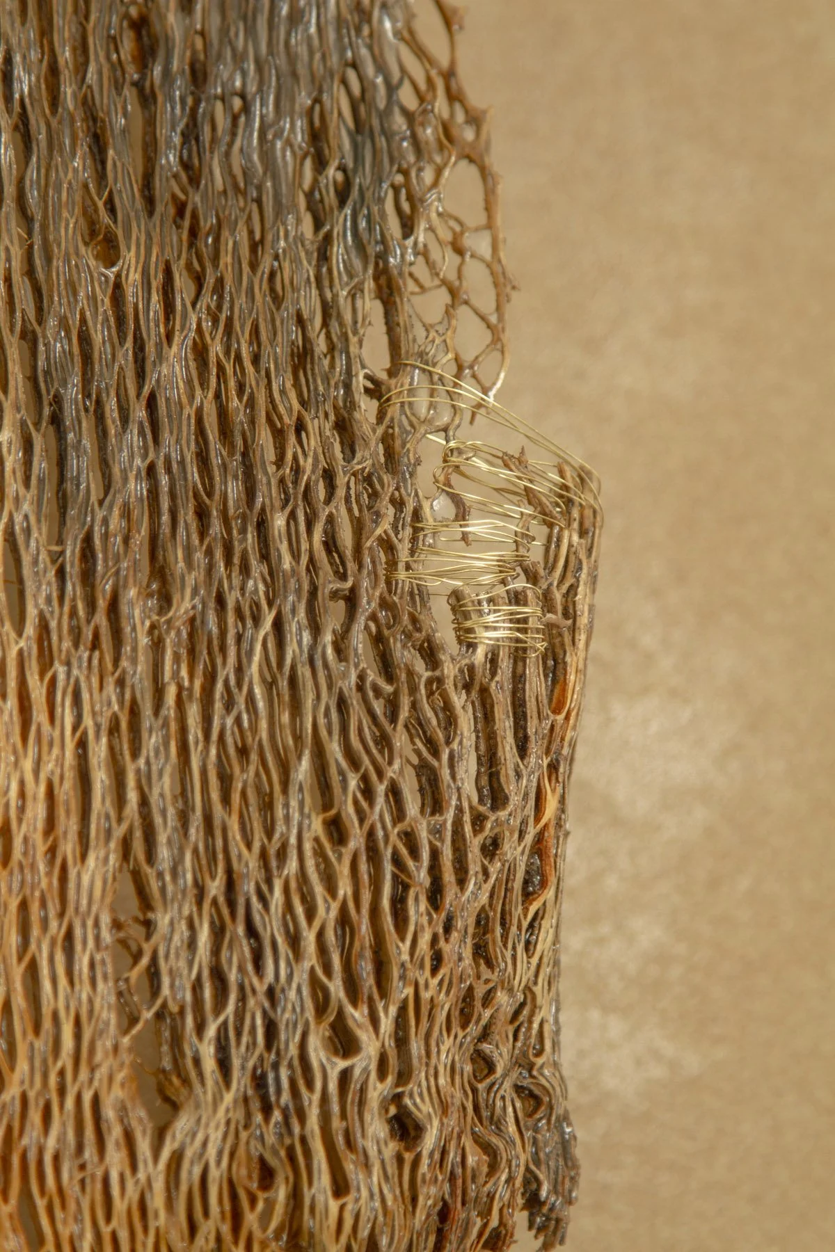 Desert_Cactus #1_Margaux LeycurasG.jpg