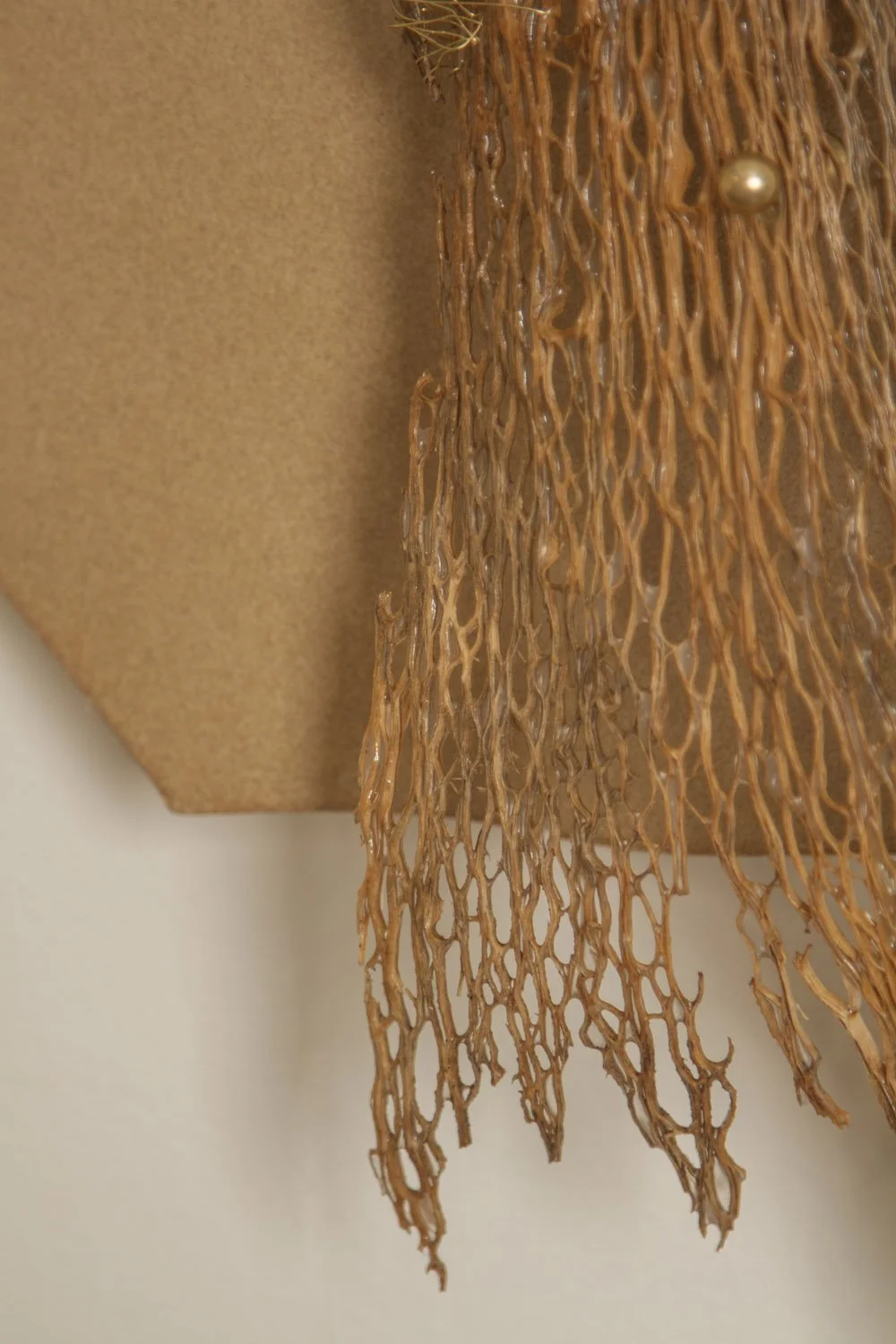 Desert_Opuntia #5_ash design_Margaux LeycurasO.jpg
