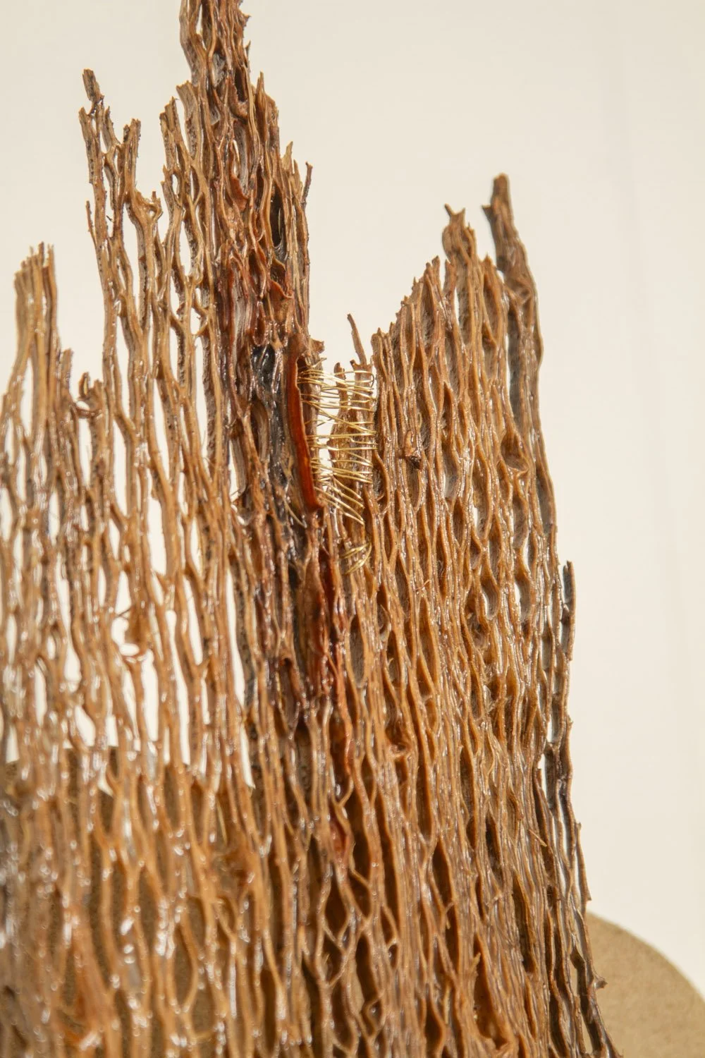 Desert_Opuntia #3_ash design_Margaux LeycurasR.jpg