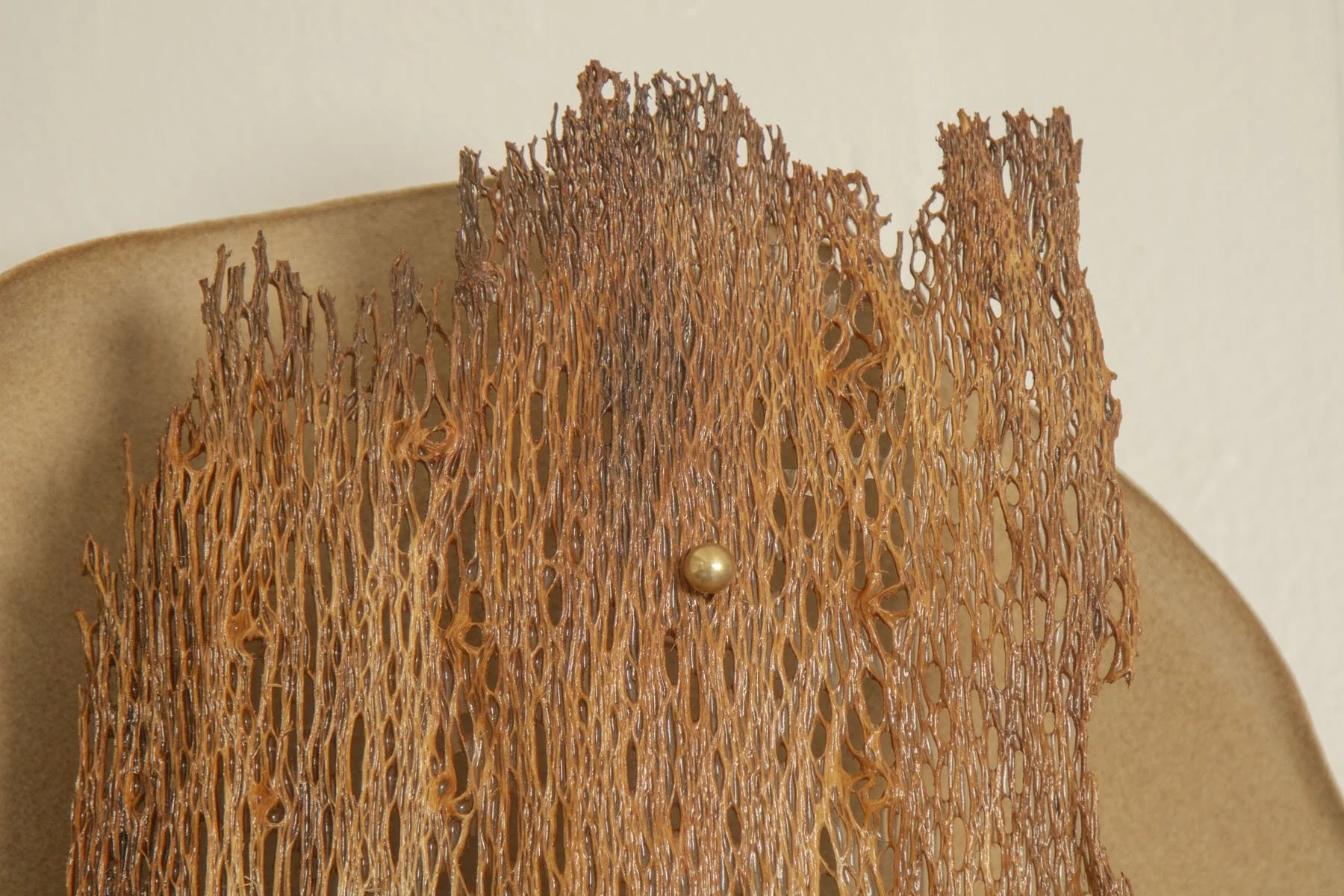 Desert_Opuntia #6_ash design_Margaux LeycurasL.jpg