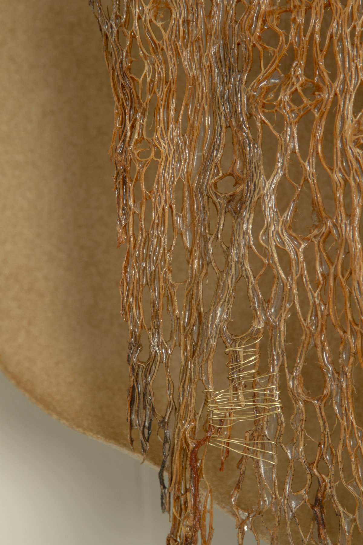 Desert_Cactus #1_Margaux LeycurasJ.jpg