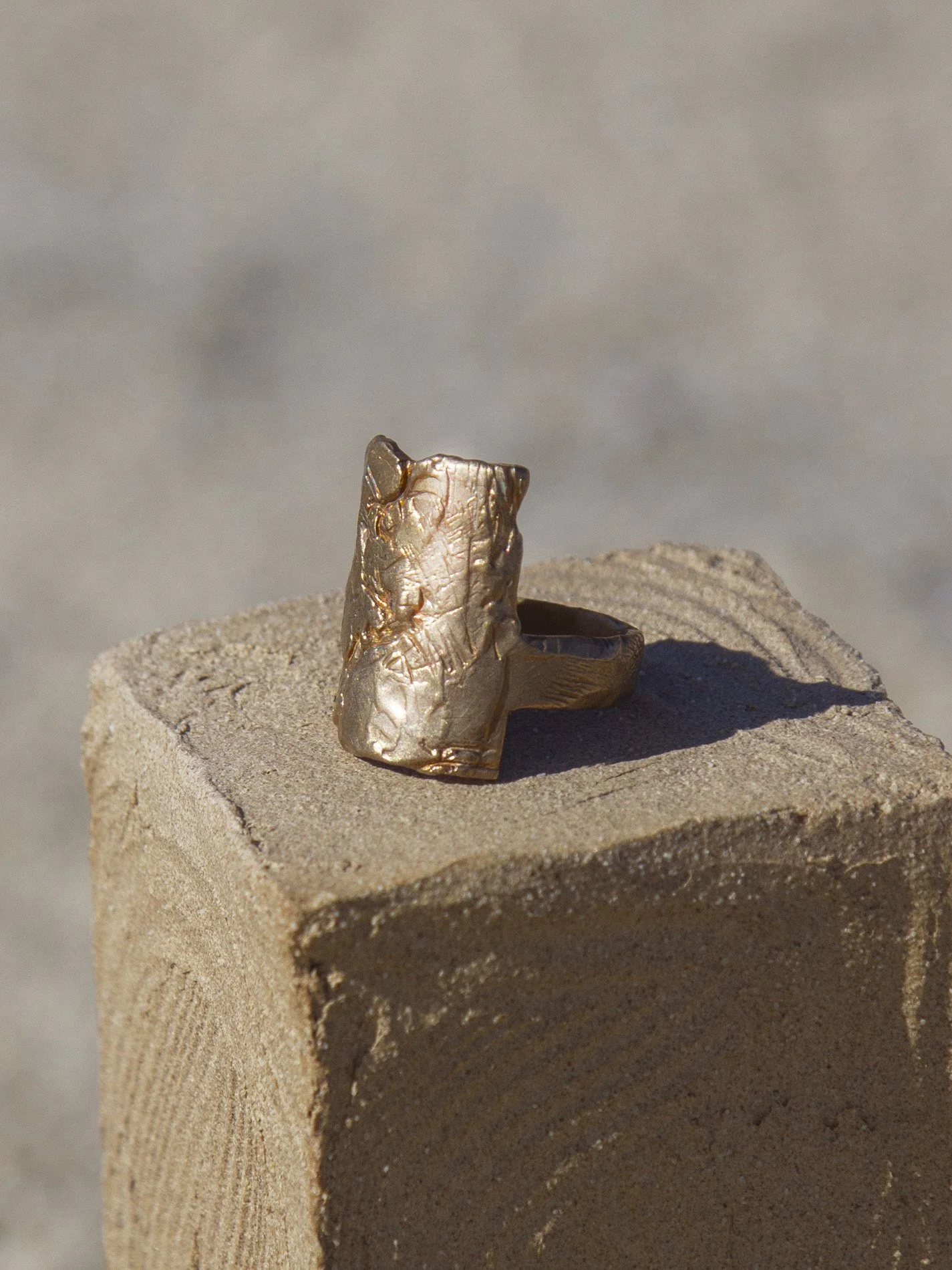 Ash design_Margaux Leycuras_Talisman Bronze organic JewelryG_1copie.jpg