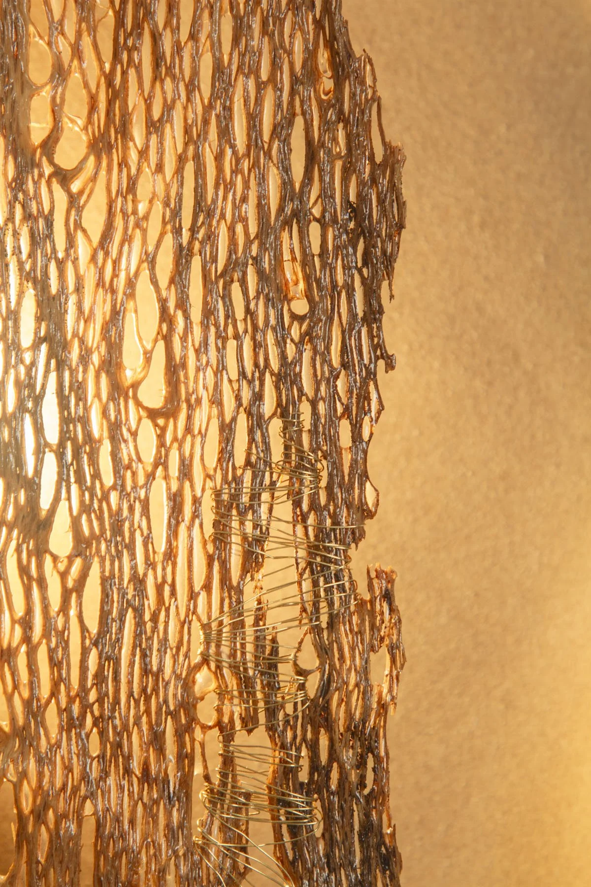 Desert_Opuntia #6_ash design_Margaux LeycurasE.jpg