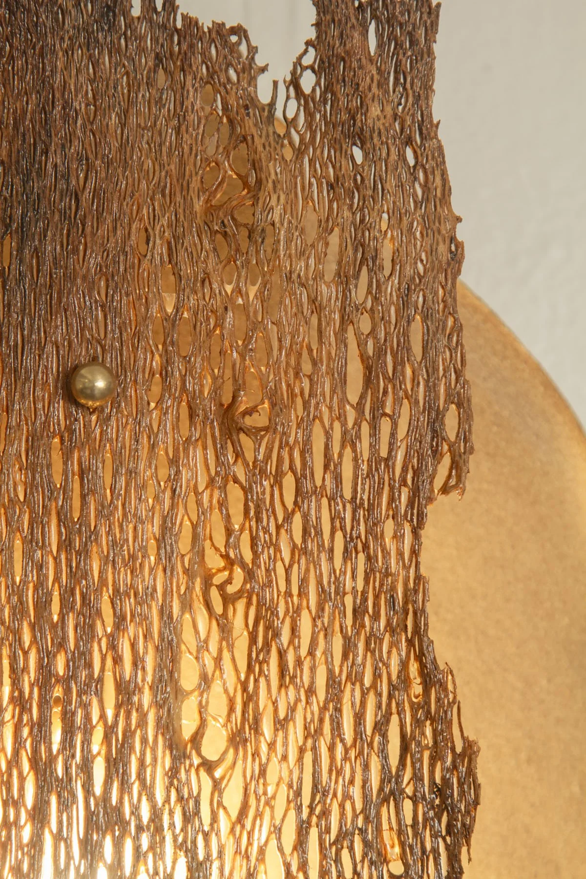 Desert_Opuntia #6_ash design_Margaux LeycurasH.jpg