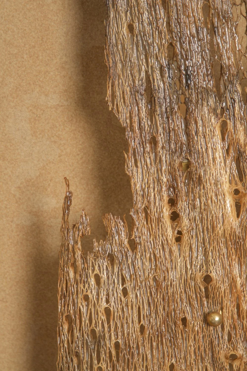Desert_Opuntia #2_ash design_Margaux LeycurasJ.jpg