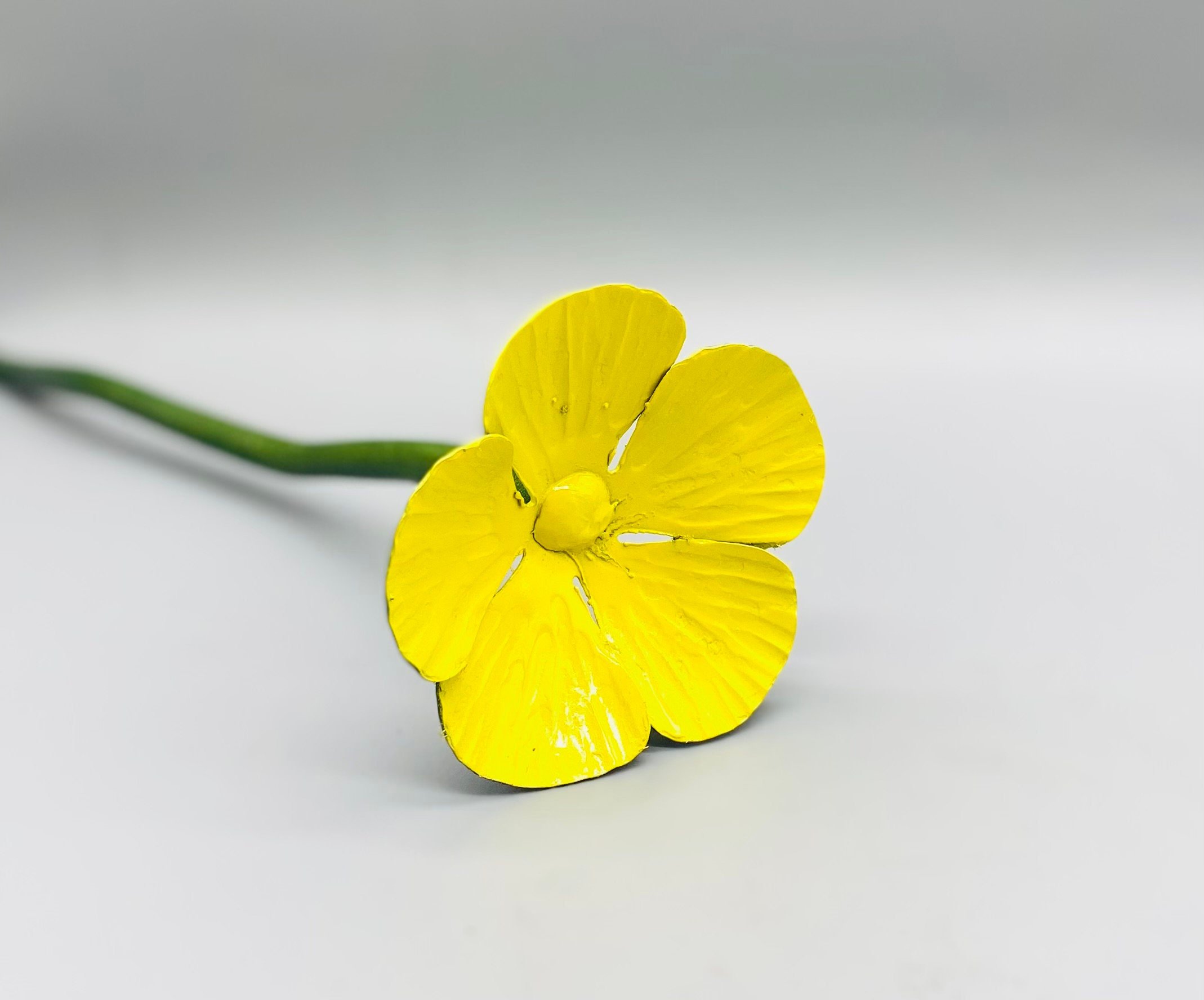 https://i.etsystatic.com/10121722/r/il/3d5fb0/4037601865/il_fullxfull.4037601865_toui.jpg