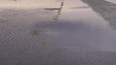 IMG_8645.gif
