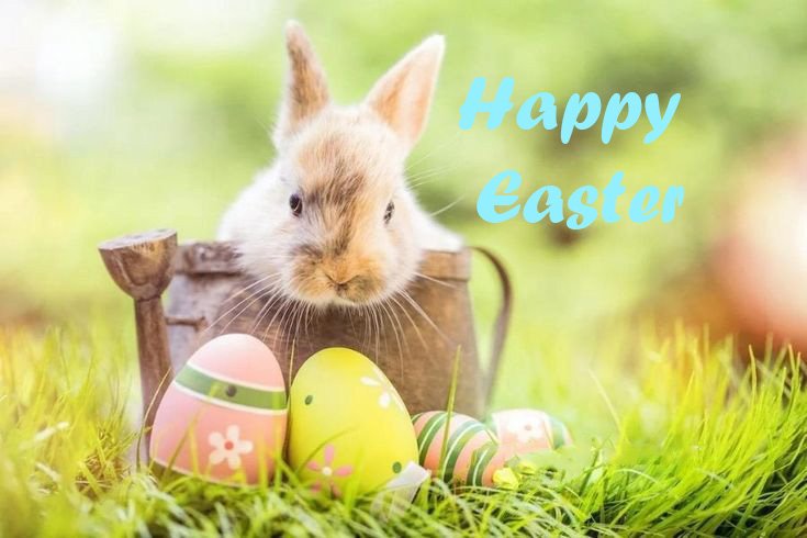 Happy Easter! 🐣 Share this time to reflect on Life, Love, Family and All of Your Blessings! Xo #astadesigngroup #happyeaster #spring #joy #blessings #family #interiordesign #designnj #newjerseylife #floridadesign #designerwear #renew #jesus #blessed