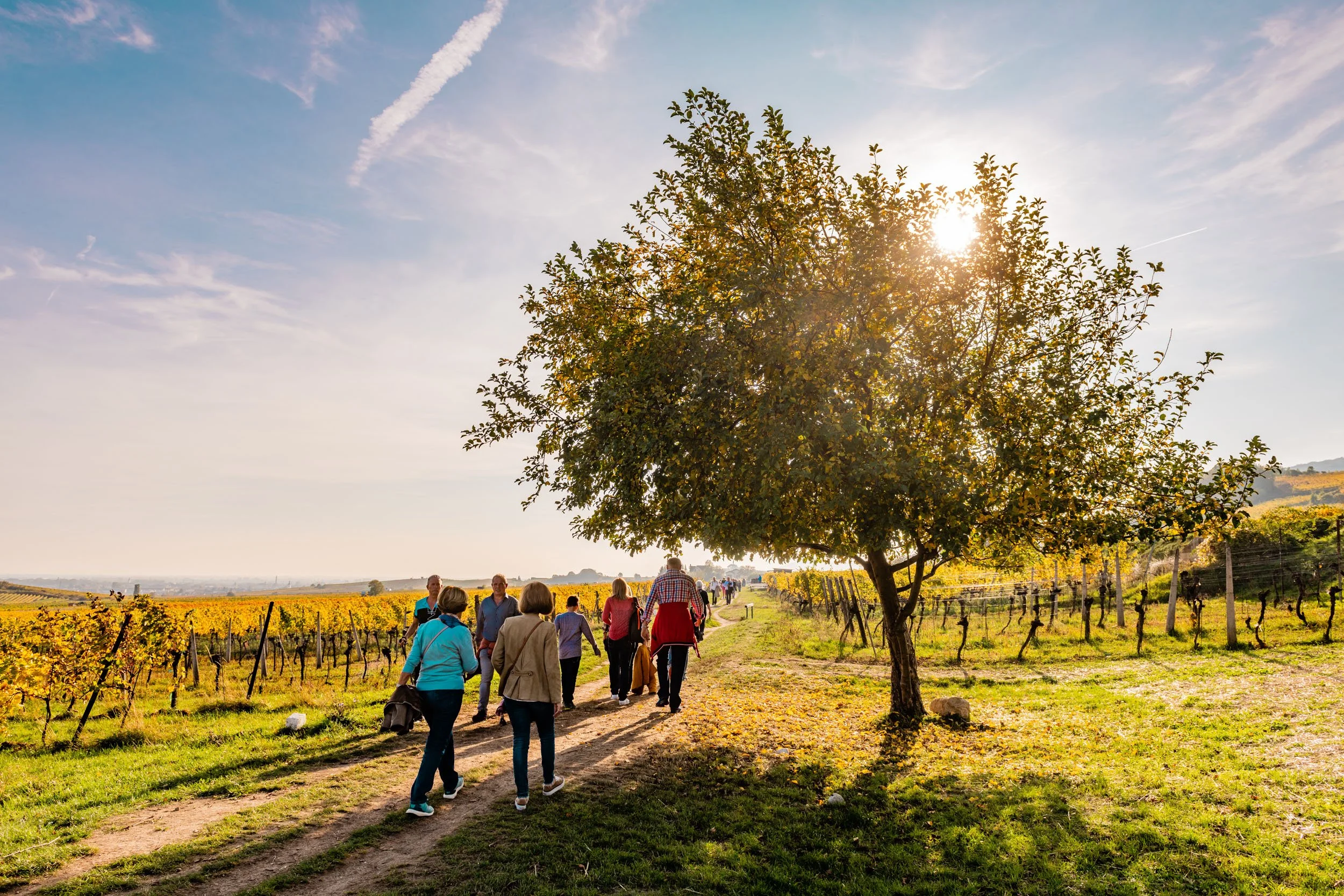 Gemeinsam unterwegs: Durch schattige Baumgruppen und sonnige Weingärten führt der Weg entlang des Wiener Wasserleitungsweges – mit weitem Blick, frischer Luft und dem besonderen Gefühl, die Thermenregion Schritt für Schritt zu entdecken.
