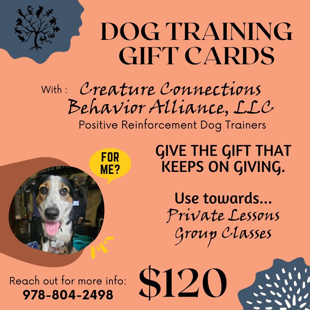 $120 Dog Training Gift Cards.jpg