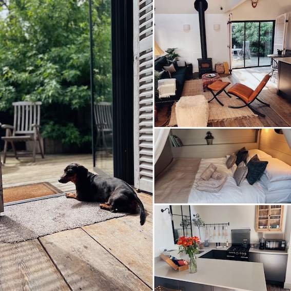 Indoor dog friendly sales places near me