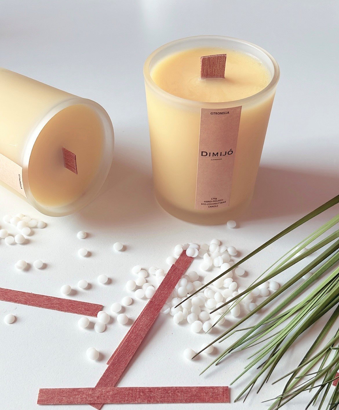 Citronella (2).jpg