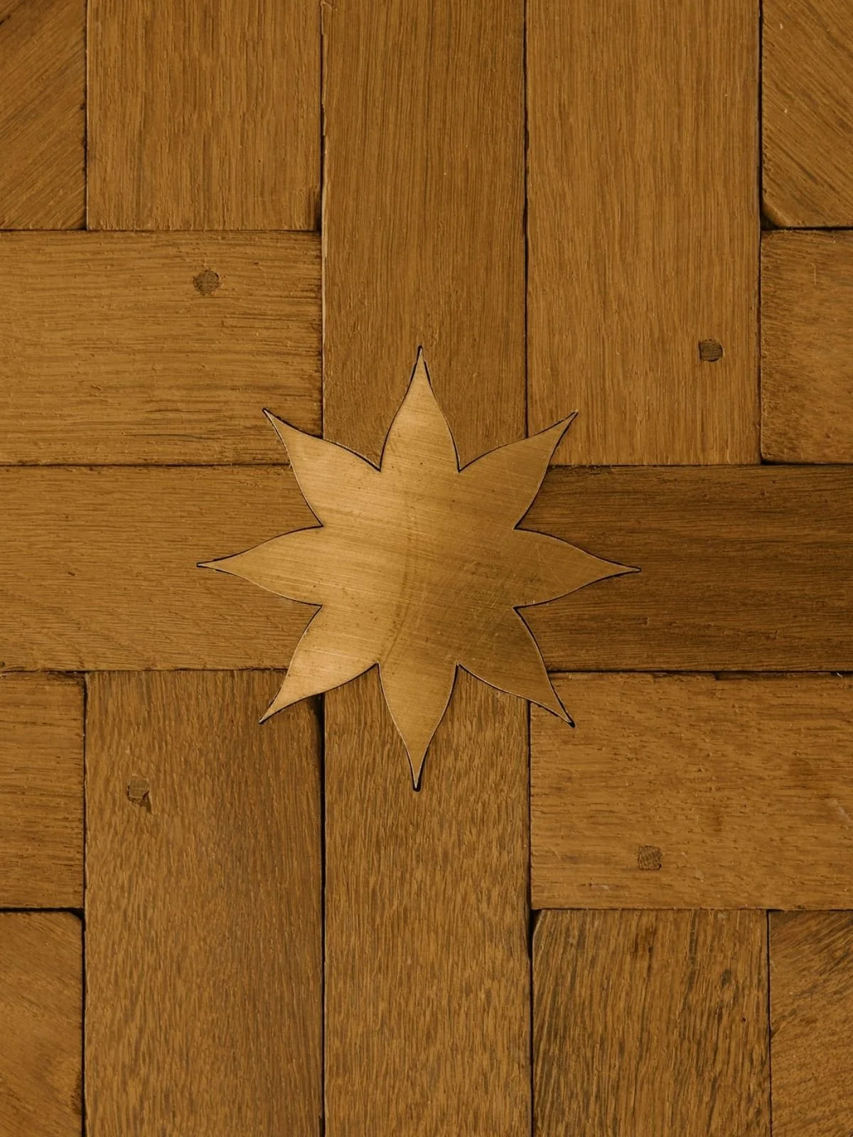 Healthy Home Building Mark D Williams 06.jpg