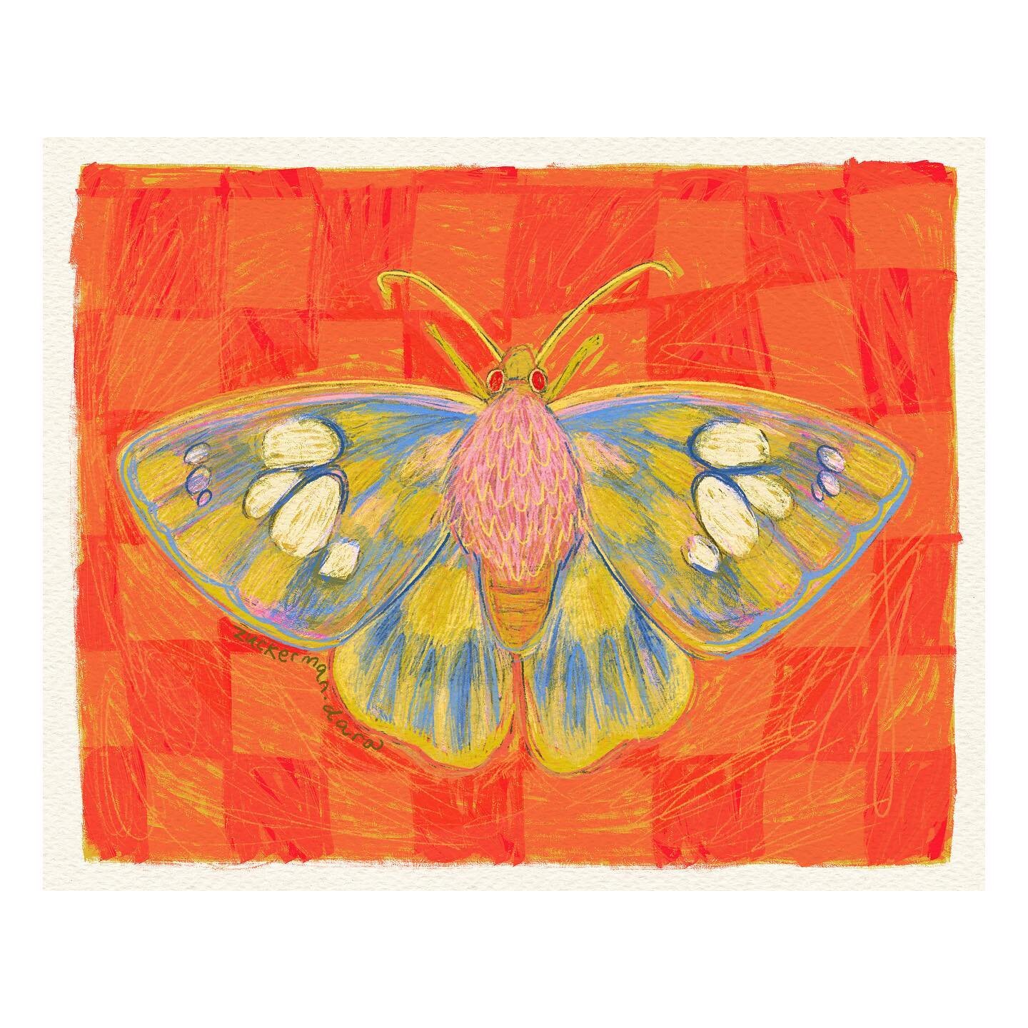 A moth illustration for this snowy Wednesday!! 🐞🐛🐜🪲🕷️🦋🐝🦗
.
.
.
.
#moth #insectsofinstagram #insects #bugart #checkerboard #checkered #patterndesign #orange #sketchbook #mixedmedia #surrealism  #acrylicpaint #smallbusiness  #coloredpencil #ill