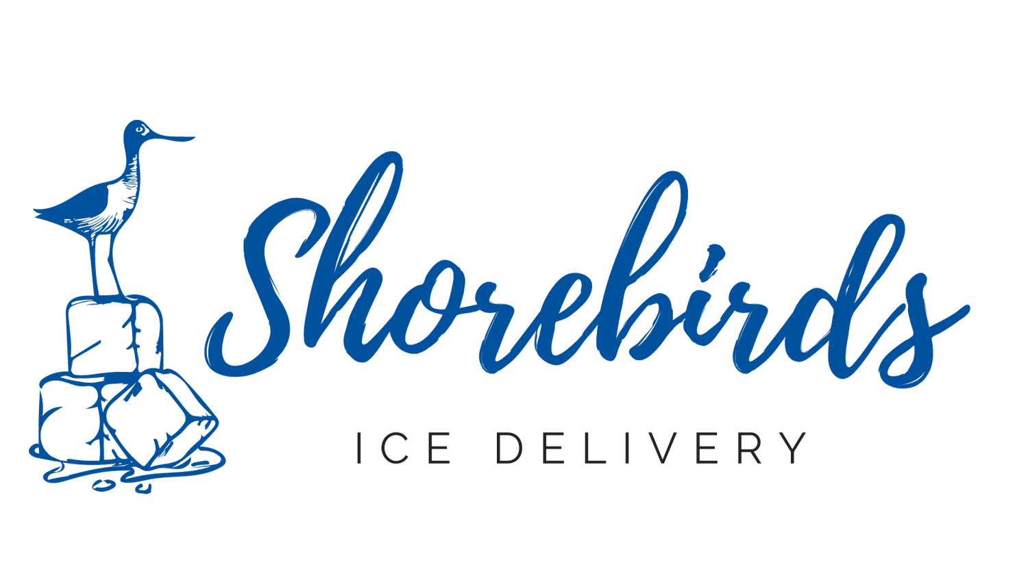 Shorebirds Ice