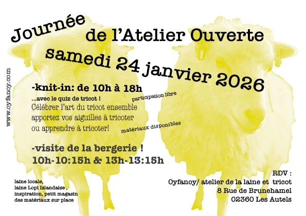 Knit- In 24 januari 2026 / Tricoter ensemble - le 24 janvier 2026