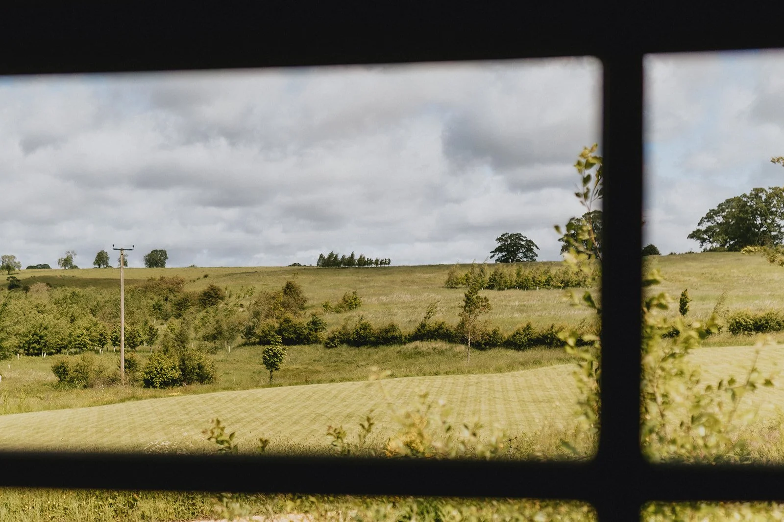 CLAIREMCGOWANPHOTOGRAPHY-1_websize.jpg