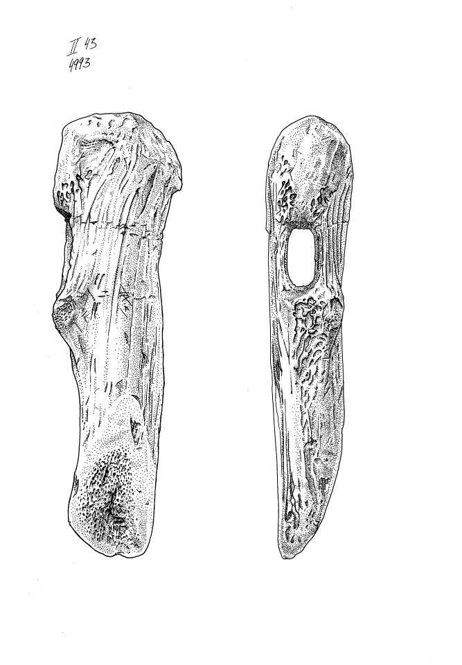 Wissenschaftliche Illustration