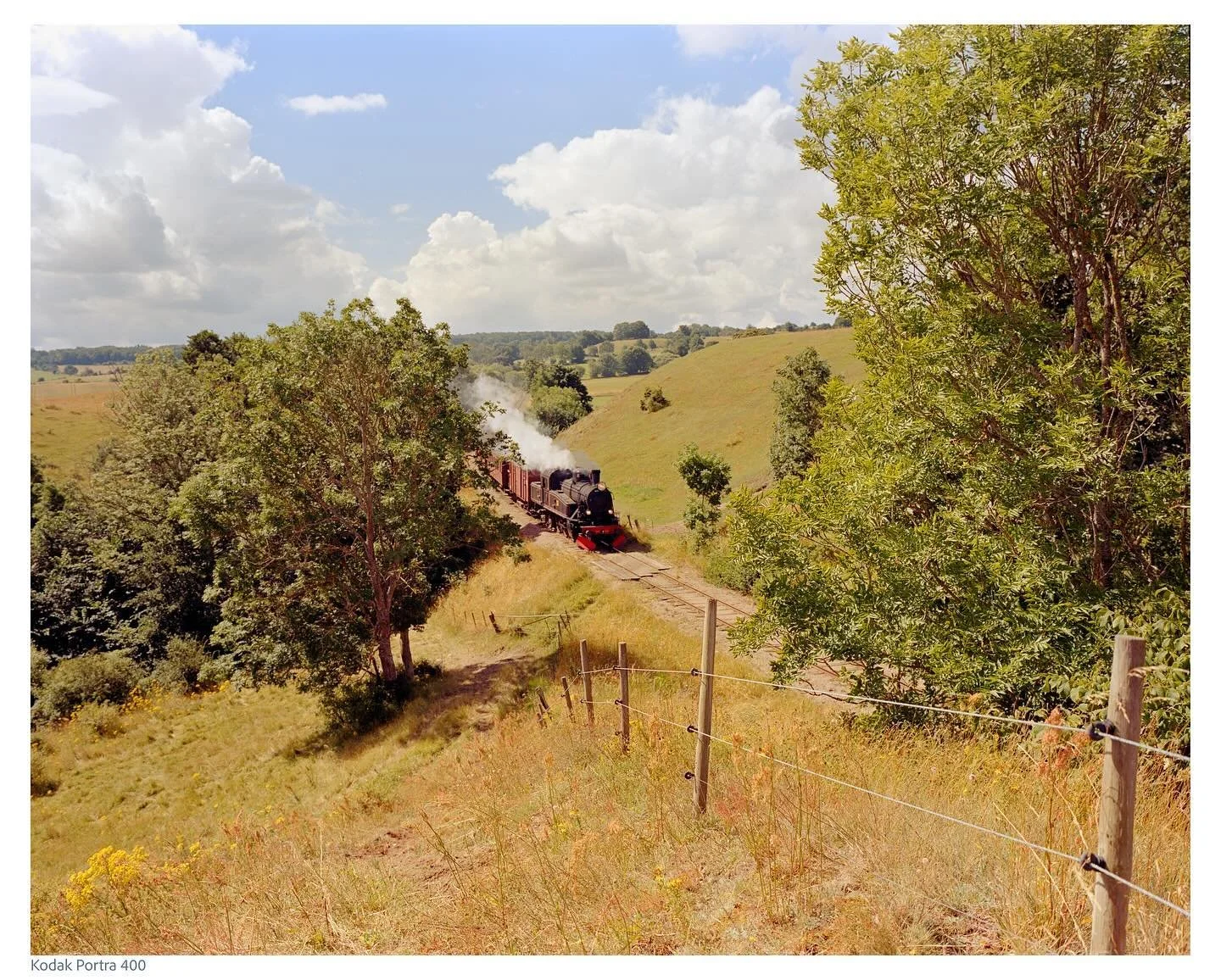 🎞Kodak Portra 400
📷Mamiya 7

#filmphoto 
#filmphotography 
#kodakportra400 
#filmisnotdead 
#filmcamera 
#analogphotography 
#filmcommunity 
#ishootfilm
#mamiya7 
#filmfeed 
#filmisalive
#shootfilm 
#believeinfilm 
#filmphotographic 
#analogfilm
#b