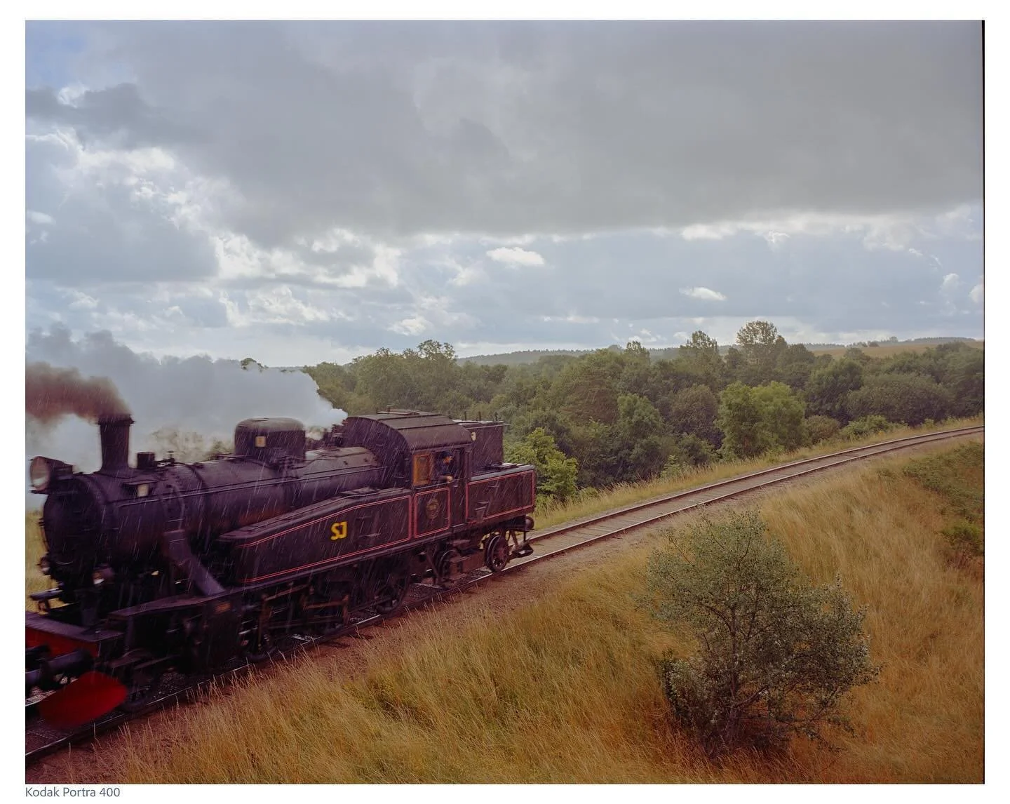 🎞Kodak Portra 400
📷Mamiya 7

#filmphoto 
#filmphotography 
#kodakportra400 
#filmisnotdead 
#filmcamera 
#analogphotography 
#filmcommunity 
#ishootfilm
#mamiya7 
#filmfeed 
#filmisalive
#shootfilm 
#believeinfilm 
#filmphotographic 
#analogfilm
#b