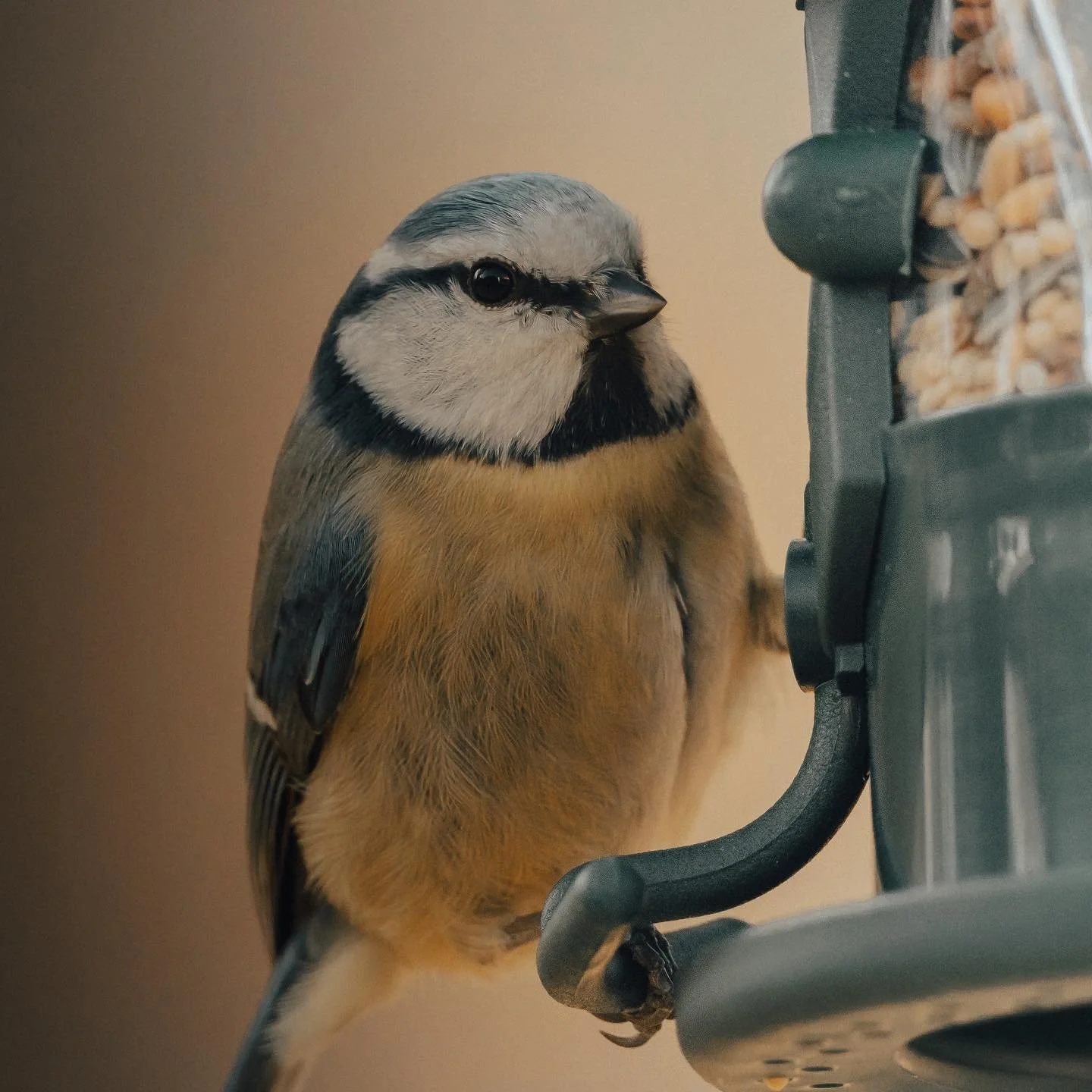 📷Sony a7iv

#sonyalpha
#sonya7iv
#sonyphotography
#amateurphotography
#amateurphotographer 
#photolove 
#photographersofinstagram 
#photographylovers