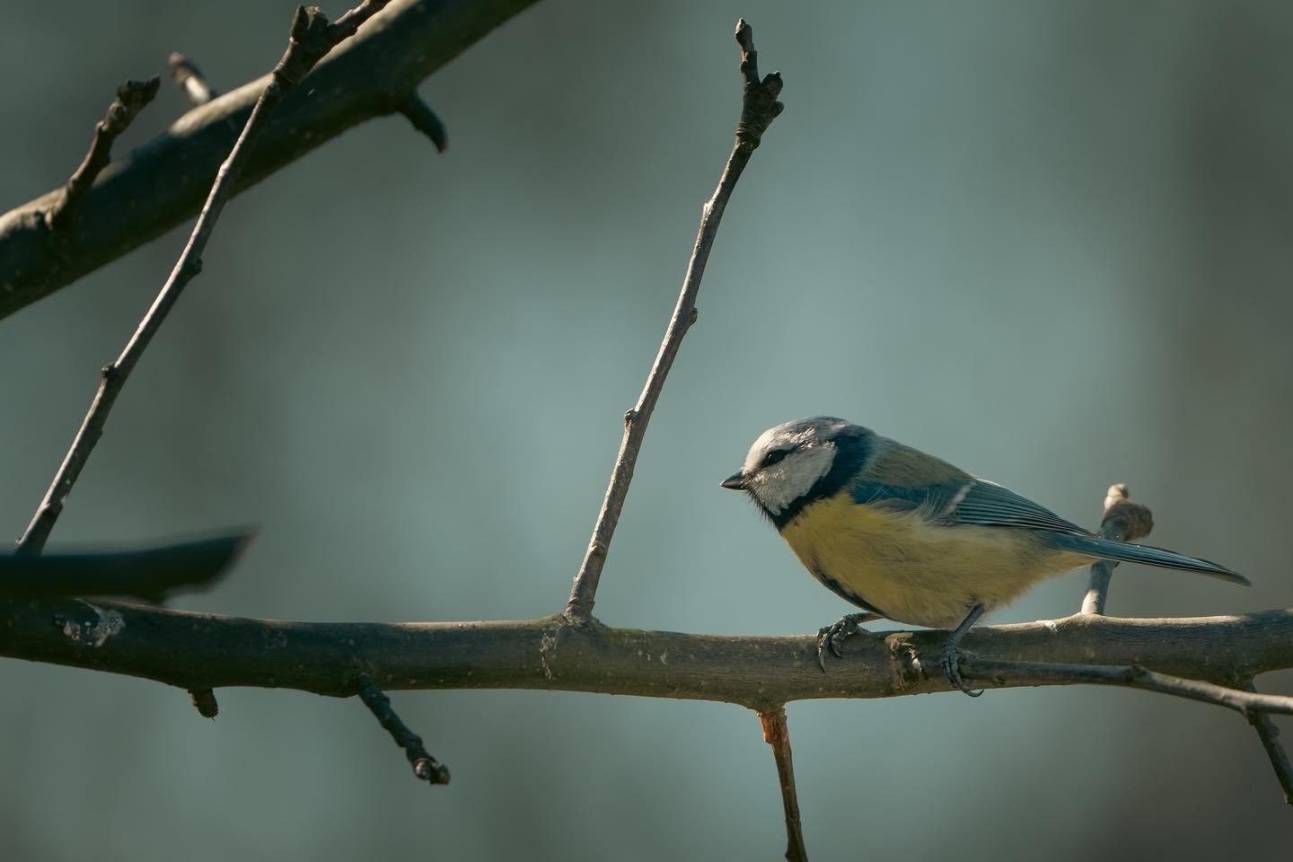 📷Sony a7iv

#sonyalpha
#sonya7iv
#sonyphotography
#amateurphotography
#amateurphotographer 
#photolove 
#photographersofinstagram 
#photographylovers