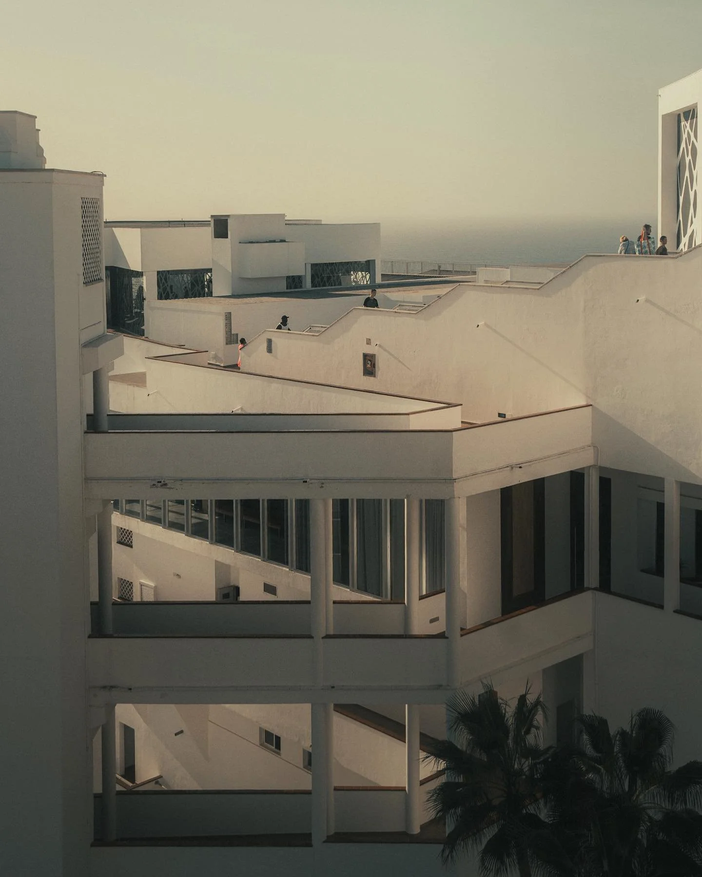 📷Sony a7iv

#sonyalpha
#sonya7iv
#sonyphotography
#amateurphotography
#amateurphotographer 
#photolove 
#photographersofinstagram 
#photographylovers 
#grancanaria 
#riuvistamar 
#digitalphotography