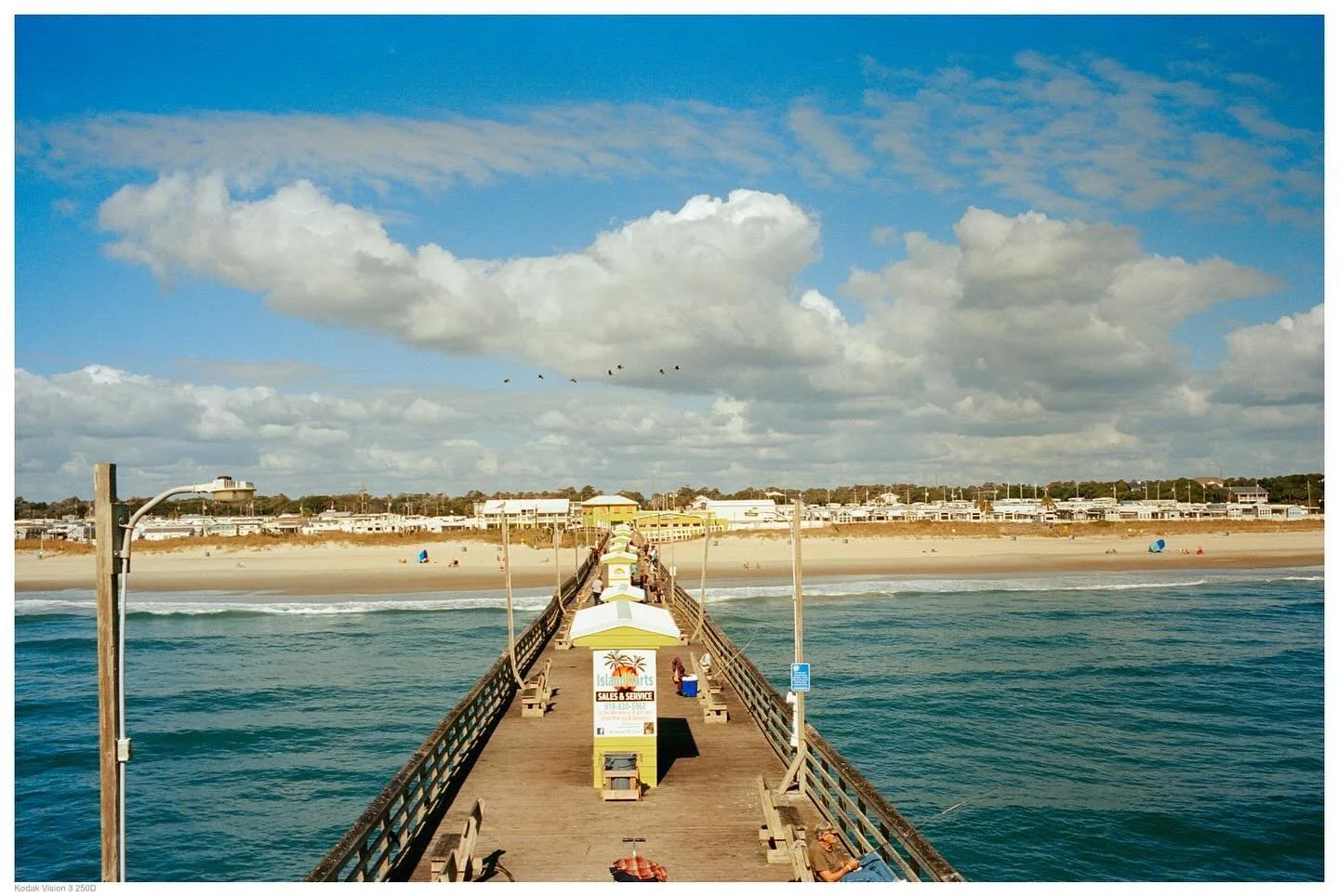 🎞Kodak Vision 3 250D
📷 Leica m7

#filmphoto 
#filmphotography 
#kodakfilm 
#filmisnotdead 
#filmcamera 
#analogphotography 
#filmcommunity 
#ishootfilm
#photography 
#filmfeed 
#filmisalive
#shootfilm 
#believeinfilm 
#filmphotographic 
#voightland